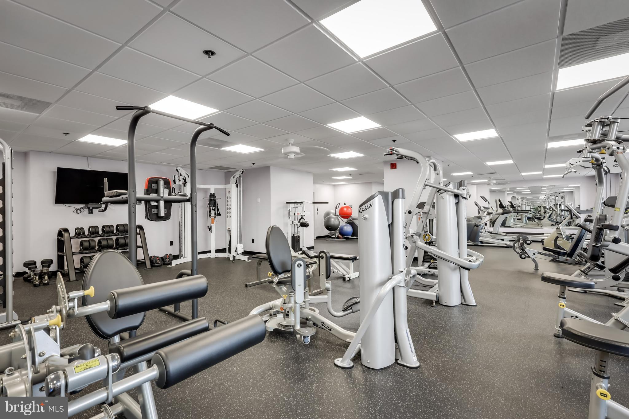 SCARLETT PLACE - Residential