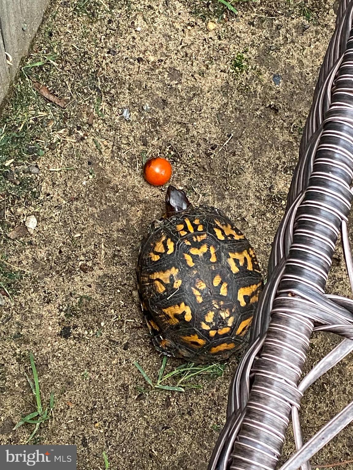 PINE HAVEN - Residential