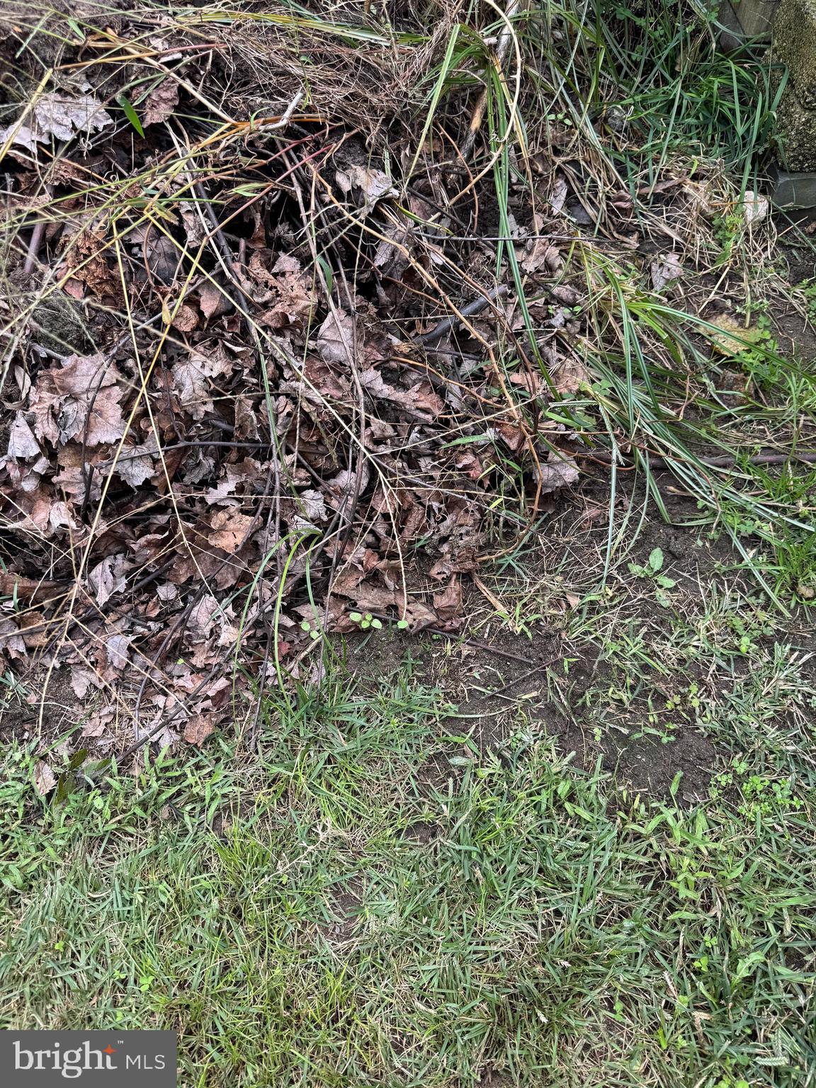 PINE HAVEN - Residential