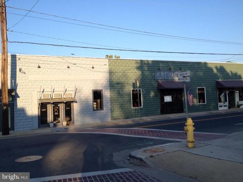 310 N WASHINGTON STREET SNOW HILL MD 21863