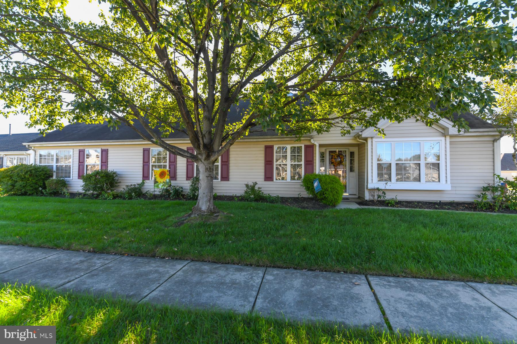 123 AVOCET LANE
