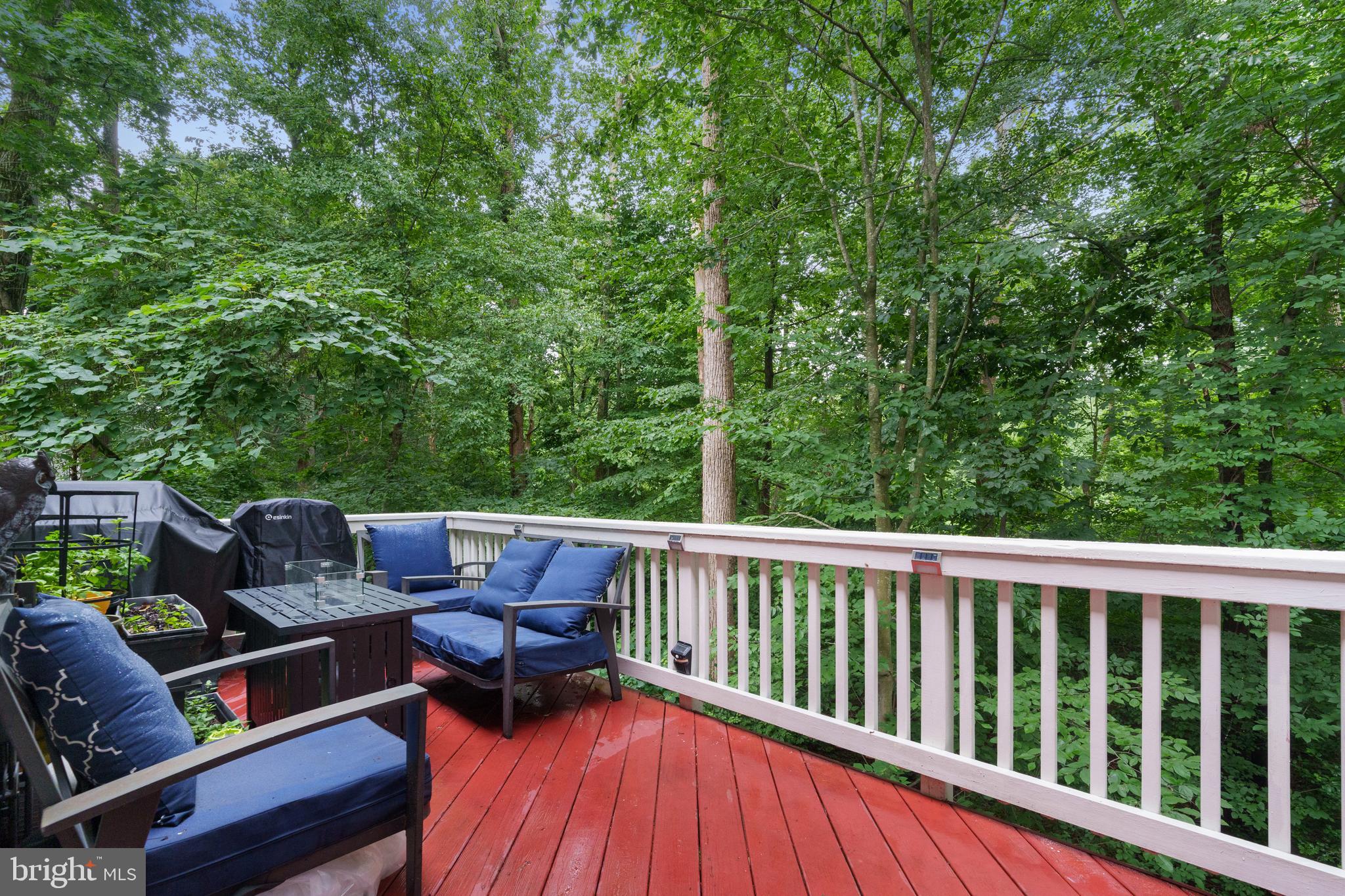 LORTON TOWN CENTER - Residential