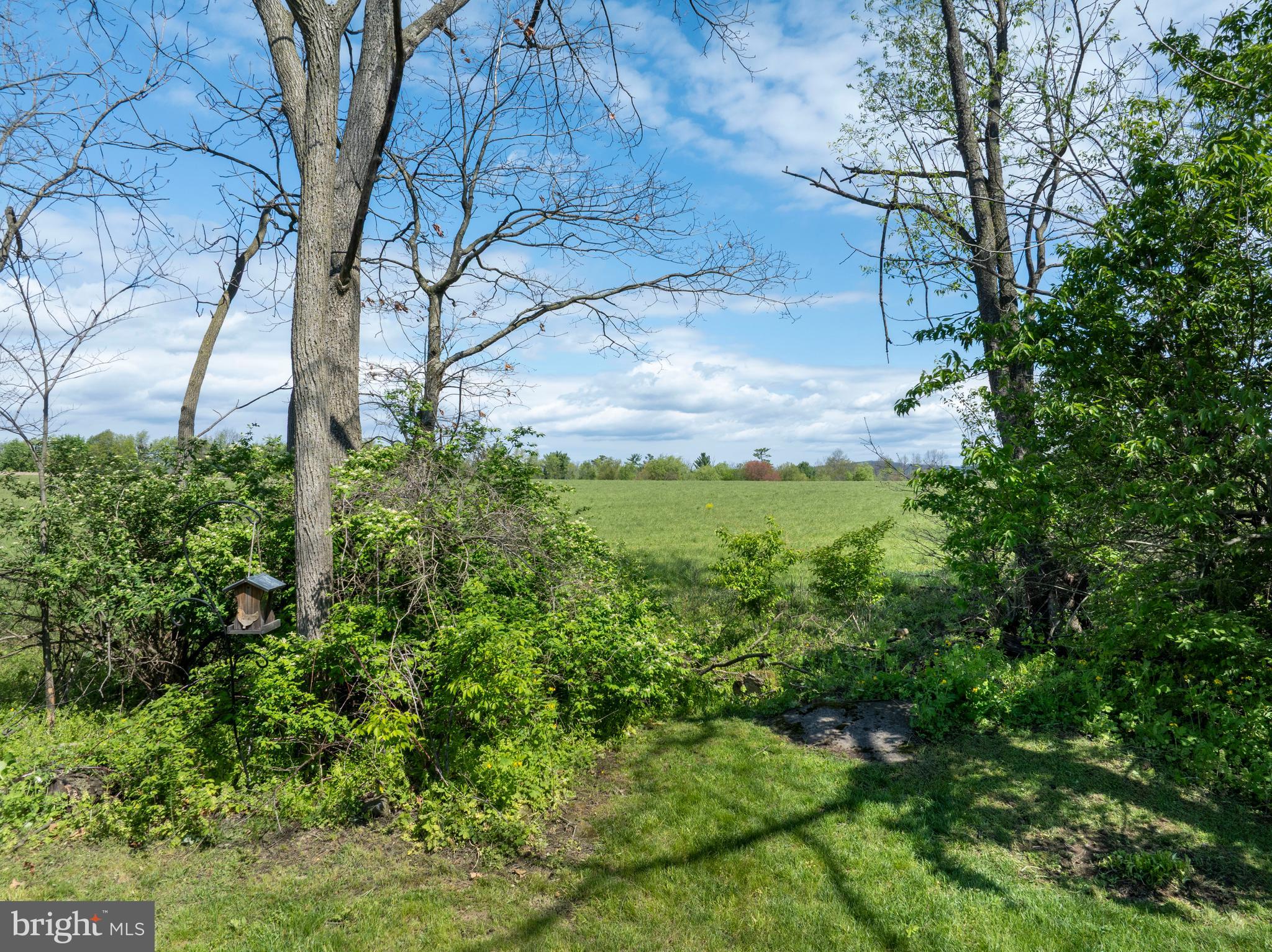 STEEPLECHASE - Residential