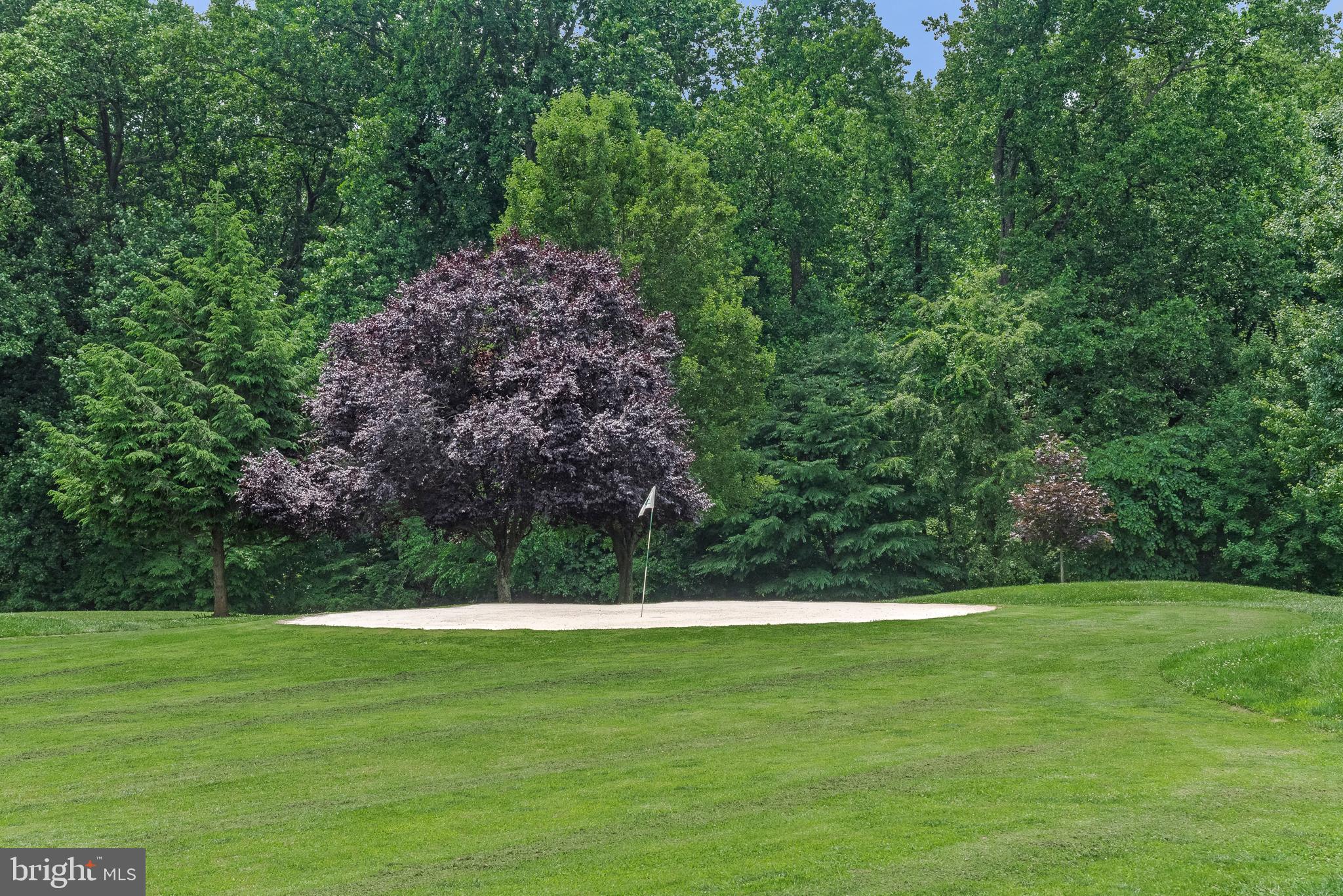 SHERWOOD FOREST - Residential