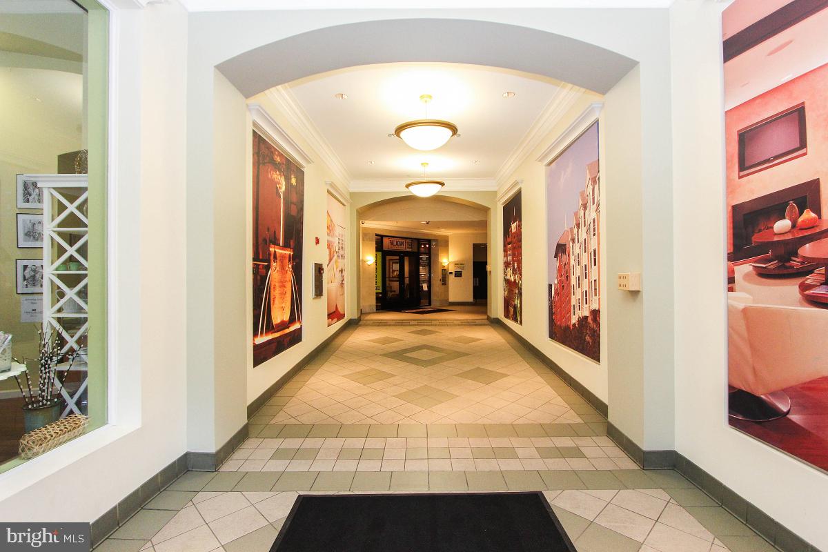 38 MARYLAND AVENUE 428