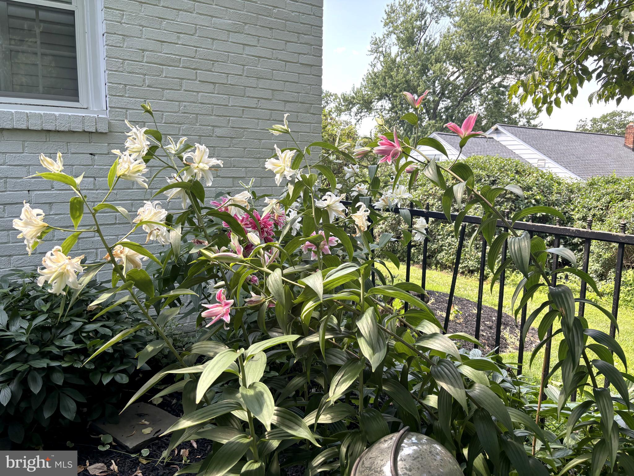 PENN VALLEY - Residential