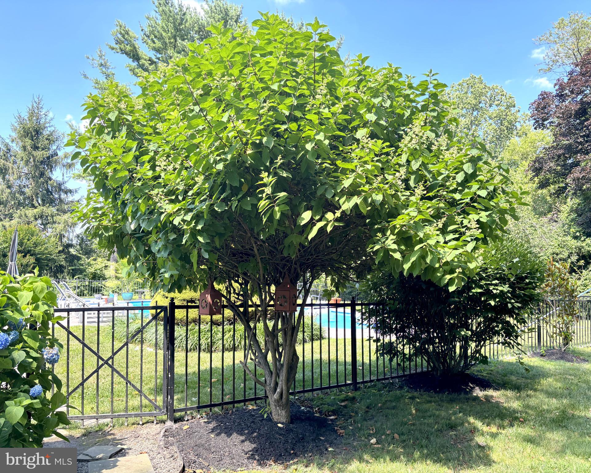 PENN VALLEY - Residential