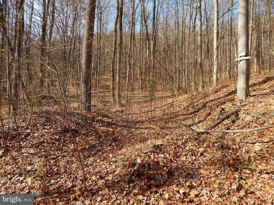 Unique one of a kind 3.13 Wooded acres makes this a desirable location to build your dream weekend or full time home.  Privately located at the end of a culdesac, this land is surrounded on all 4 side by community common ground plus the common ground on the back side is bordered by 6000 acres of Cacapon  State Park Land.   Activities offered at the park are biking,  fishing, 18 hole golf course surrounded by scenic mountains, horseback riding, swimming, hiking, geocaching, canoe and paddle boats, pavillions, tennis, basketball and volleyball courts, wobble clay shooting, and restaurant.   Situated in Coolfont with community amenities which include, pool, hot tub tennis courts, volleyball court, playground, and hiking.     Combine the Coolfont community amenities, the vast array of amenities at the State Park and the peaceful, scenic land location, and your home will truly be your West Virginia, Almost Heaven, Haven.