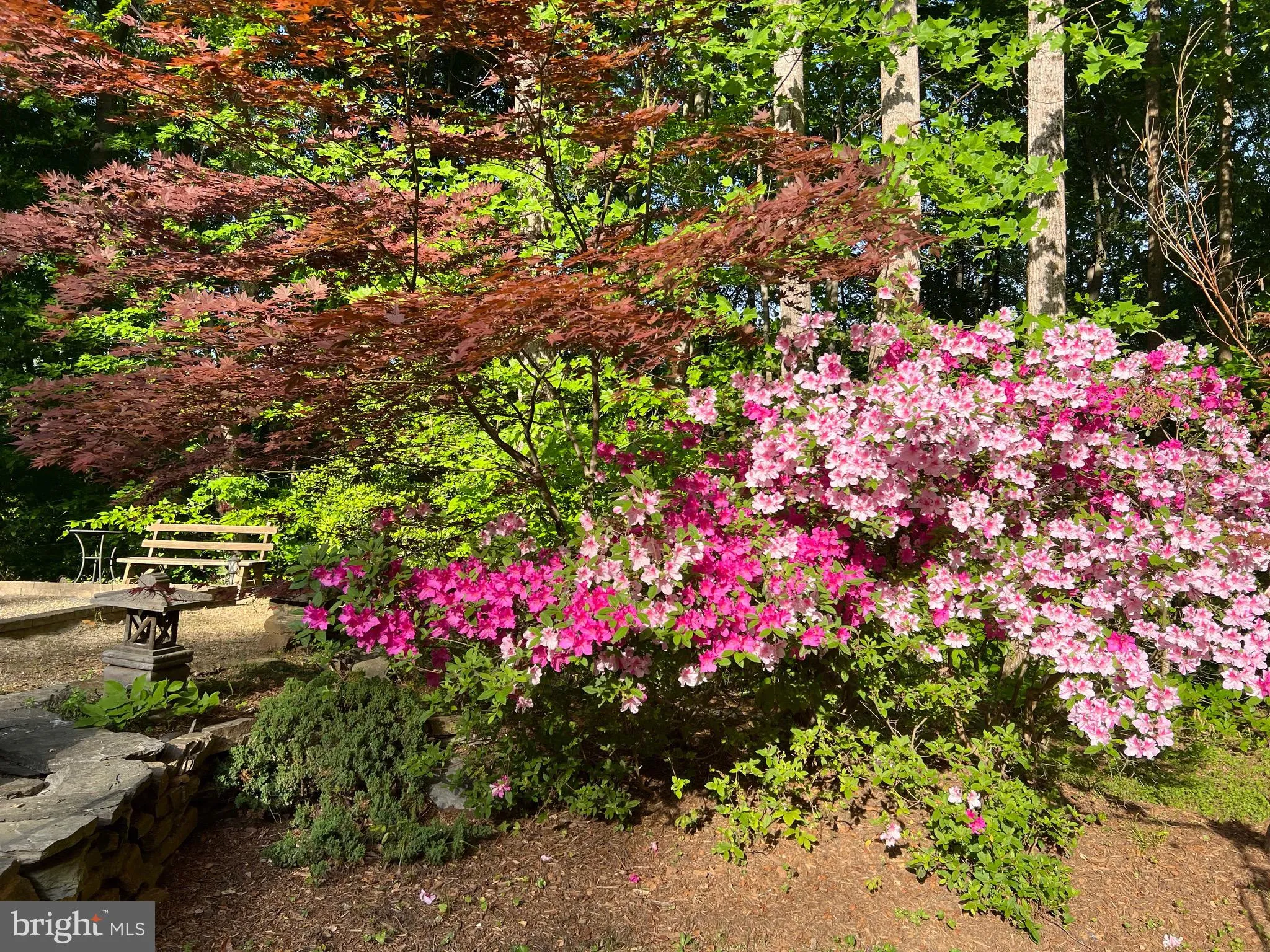 Manassas, Virginia 20112, United States, 4 Bedrooms Bedrooms, ,3 BathroomsBathrooms,Residential,Pending,83044