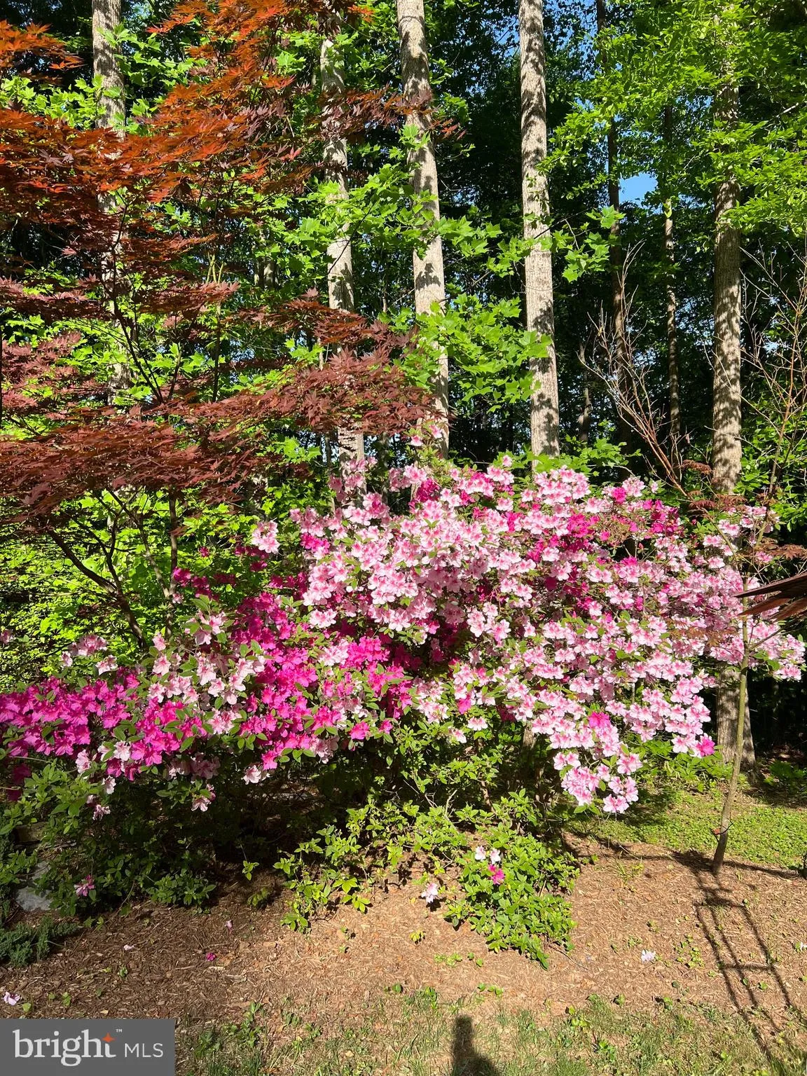 Manassas, Virginia 20112, United States, 4 Bedrooms Bedrooms, ,3 BathroomsBathrooms,Residential,Pending,83044