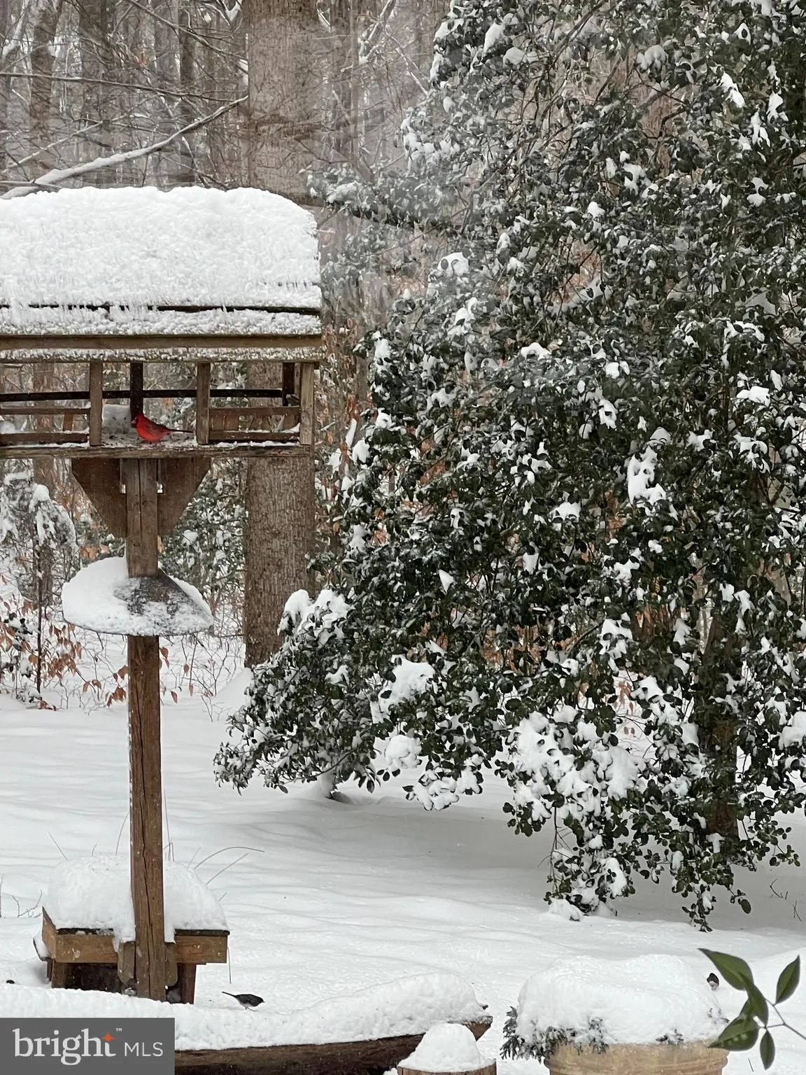 Manassas, Virginia 20112, United States, 4 Bedrooms Bedrooms, ,3 BathroomsBathrooms,Residential,Pending,83044