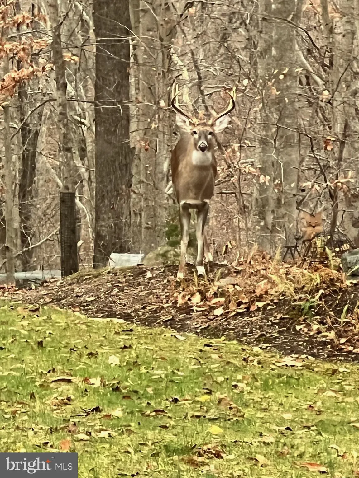 Manassas, Virginia 20112, United States, 4 Bedrooms Bedrooms, ,3 BathroomsBathrooms,Residential,Pending,83044