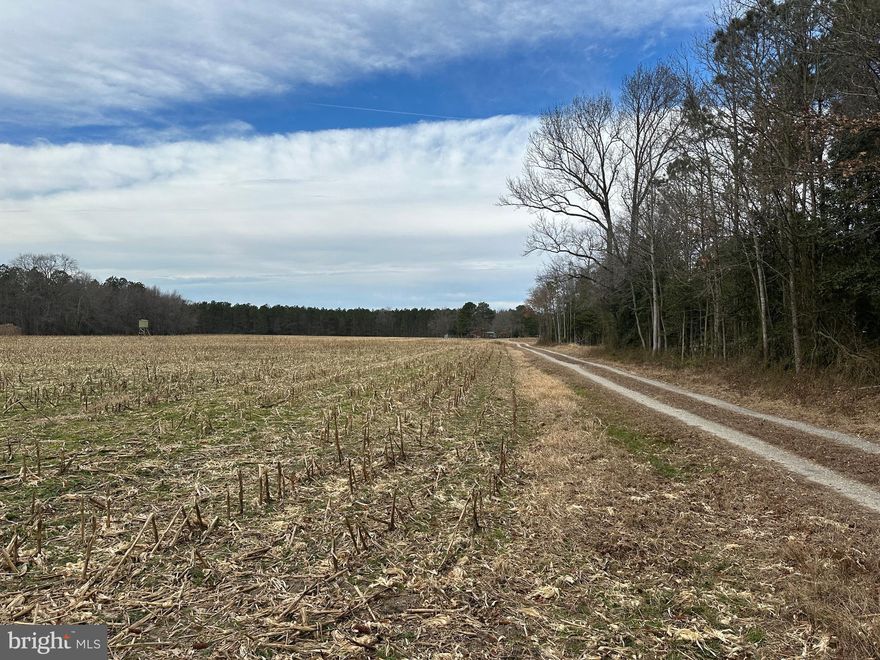 150+- deeded acres with a cabin located in Worcester County, MD. Ideally located between Salisbury, Pocomoke, and Snow Hill along the western edge of the Pocomoke Forest. The property provides 25+- acres cleared/tillable with the remaining 125+- acres in timber. The upland timber consists primarily of pine that has been recently thinned. The western edge of the property runs with Dividing Creek and consists of a hardwood bottom with oaks, maples, and various other deciduous trees. The transition from the uplands to the hardwood bottom consists of moderate slopes with elevation changes of 10-15 feet in places. The tillable land consists primarily of Askecksy loamy sand, Cedartown-Rosedale complex, Rosedale loamy sand, and Woodstown sandy loam soils, providing a rolling topography. Whitetail and turkey thrive throughout the tract with an ideal mix of habitat. Improvements consist of an original 10’ x 28’ log-style cabin with several additions providing a total of 900+- sqft of space. Electric, Septic with a drainfield, and a private well providing water are all in place. Several sheds and a carport provide storage for equipment. No conservation Easements. No access or entry without permission of the listing agent!