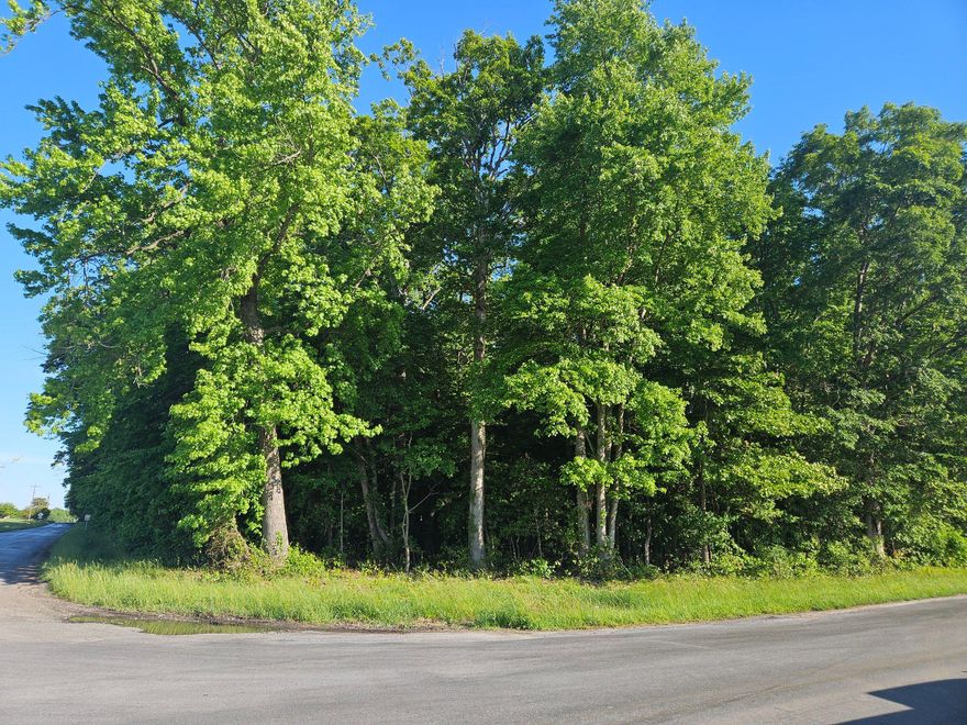 Large wooded lot on the outside of town.  Perc approved for a 2' mound system.  Located at the corner of Sunset Ave and River Rds.   4.3 acres    Some forest conservation area.  Only four lots in this  subdivision and only three lots available.