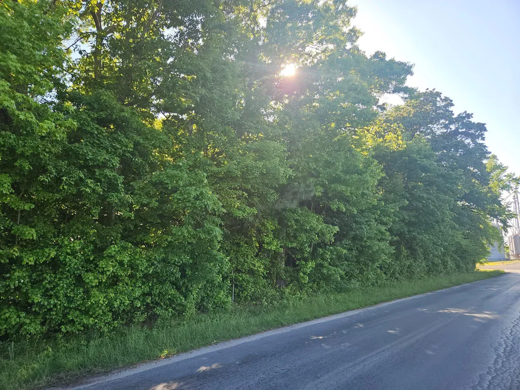Additional image 2 of Lot 1 E Sunset Avenue, Greensboro, MD 21639