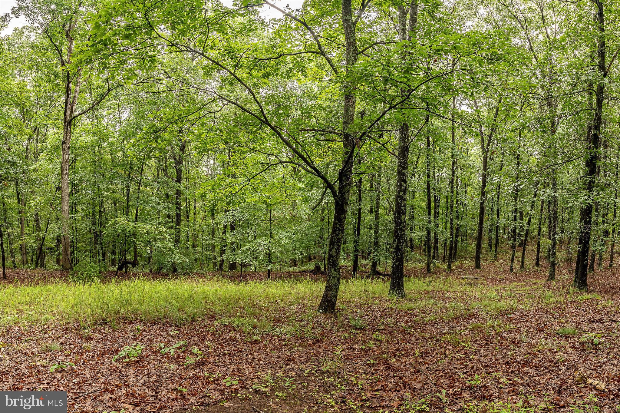 SLEEPY CREEK FOREST - Residential