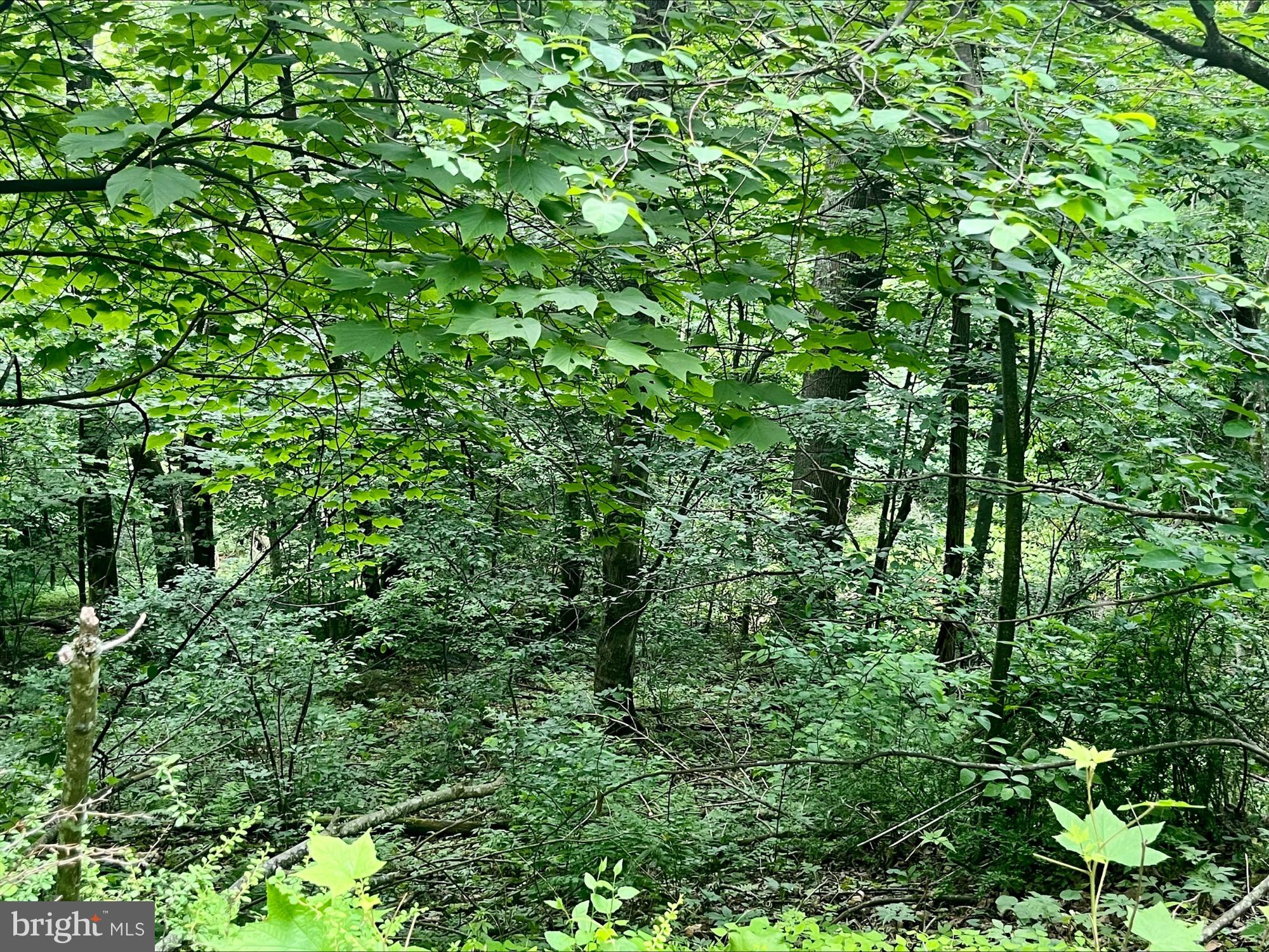 LAND OF LURAY - Land