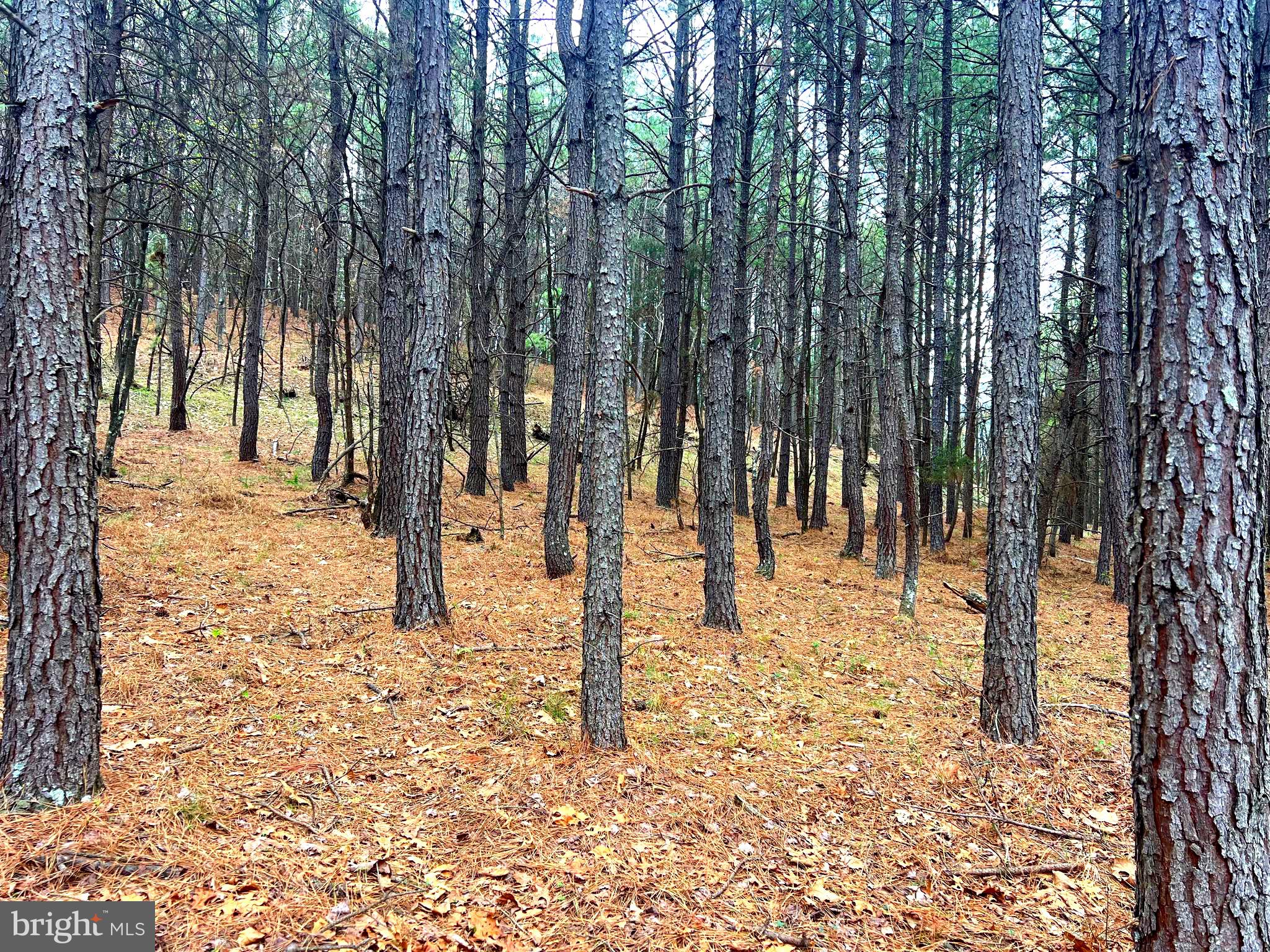 ASHTON WOODS - Land