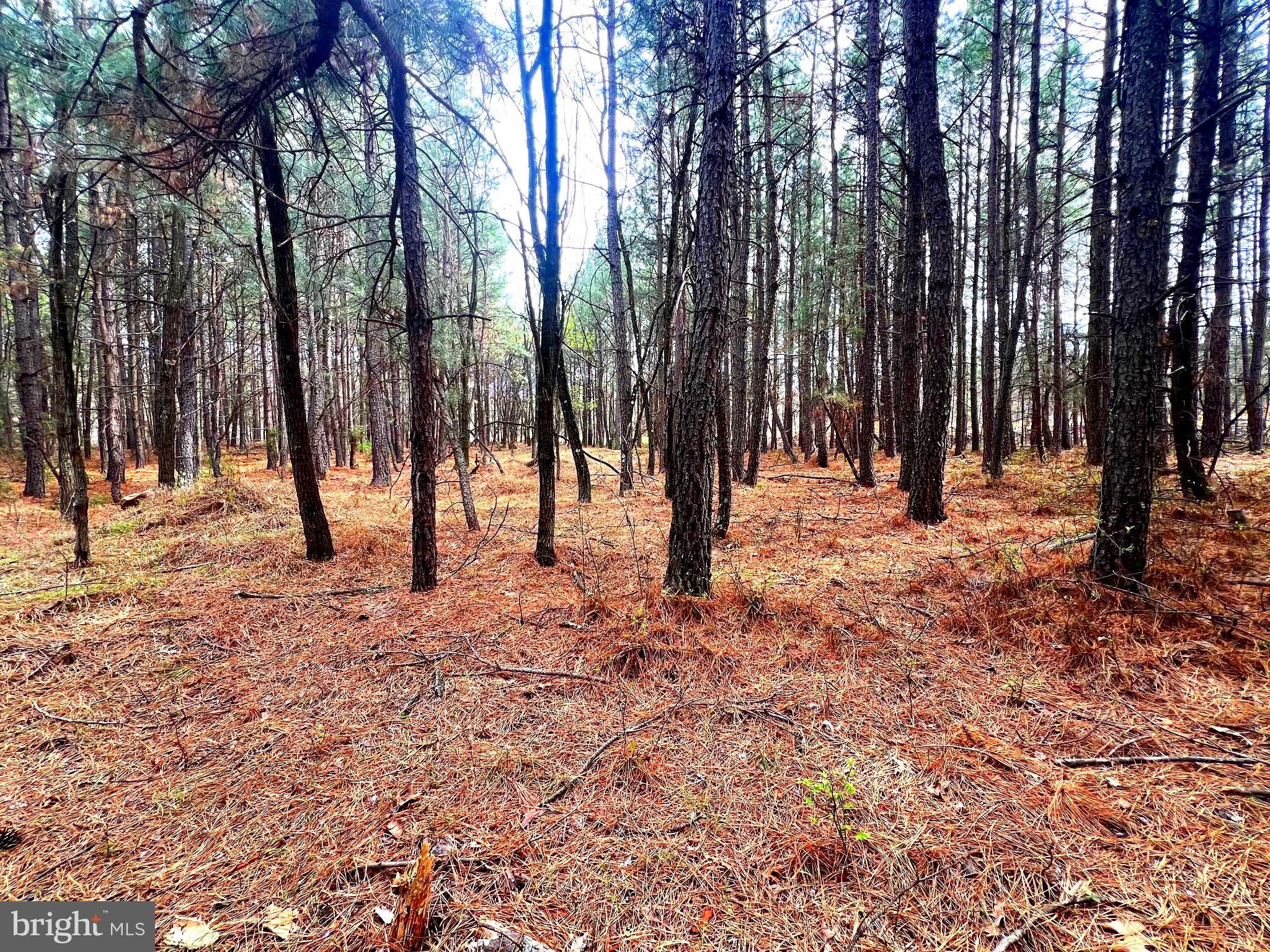 ASHTON WOODS - Land