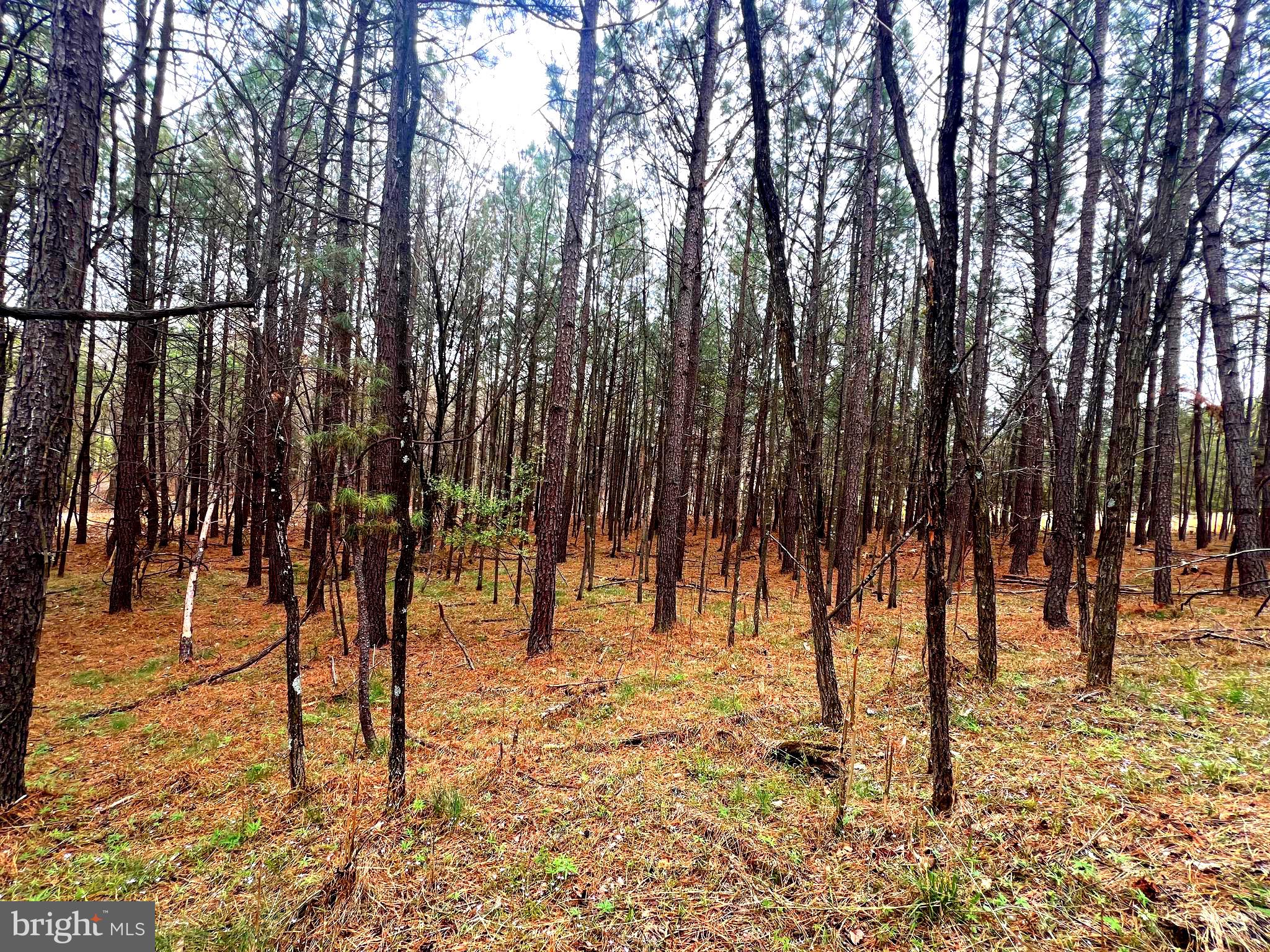 ASHTON WOODS - Land