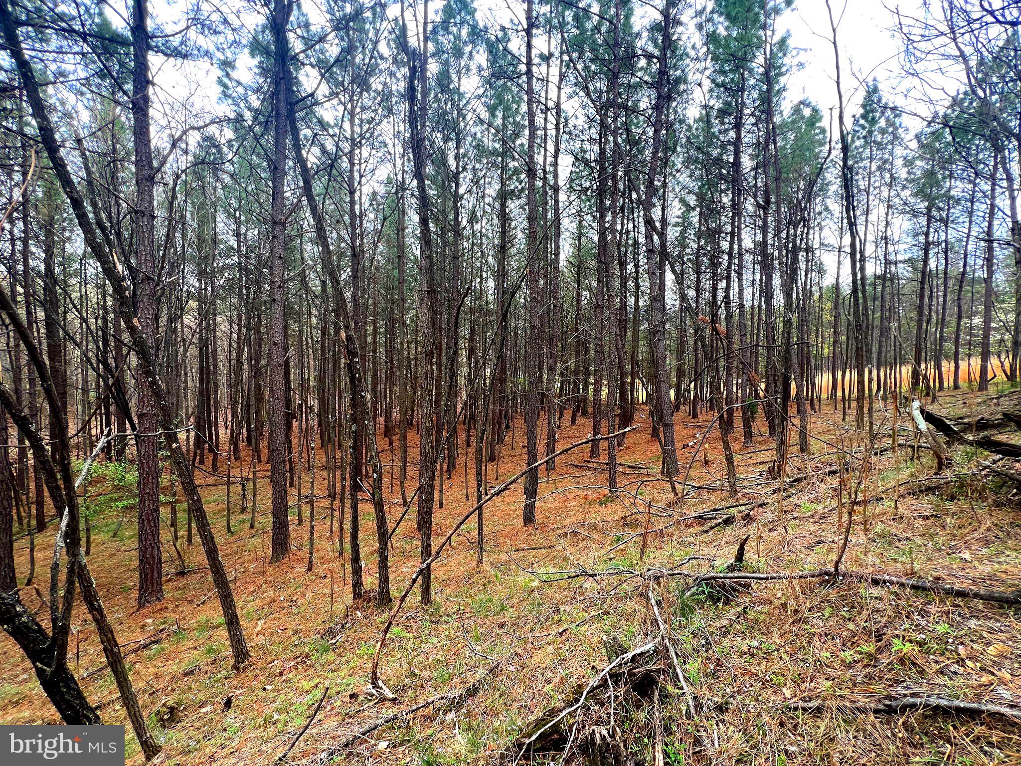 ASHTON WOODS - Land