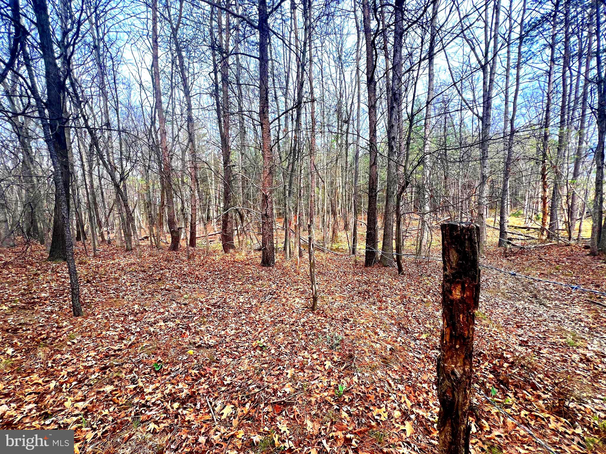 ASHTON WOODS - Land