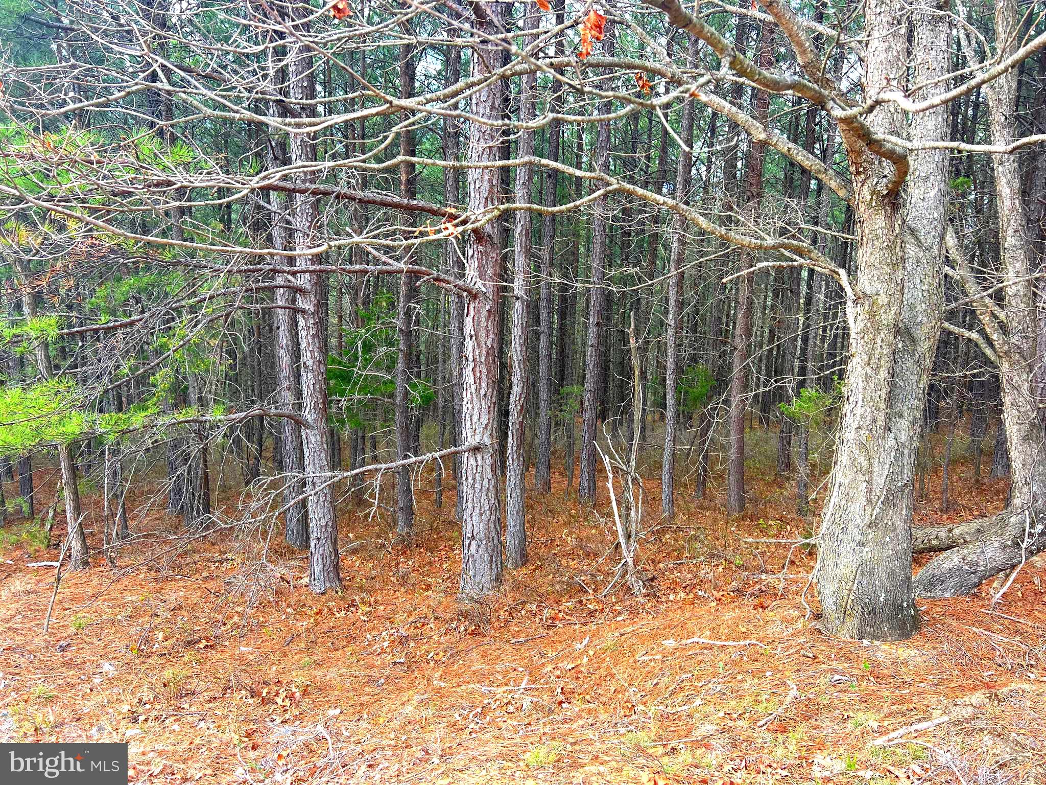 ASHTON WOODS - Land
