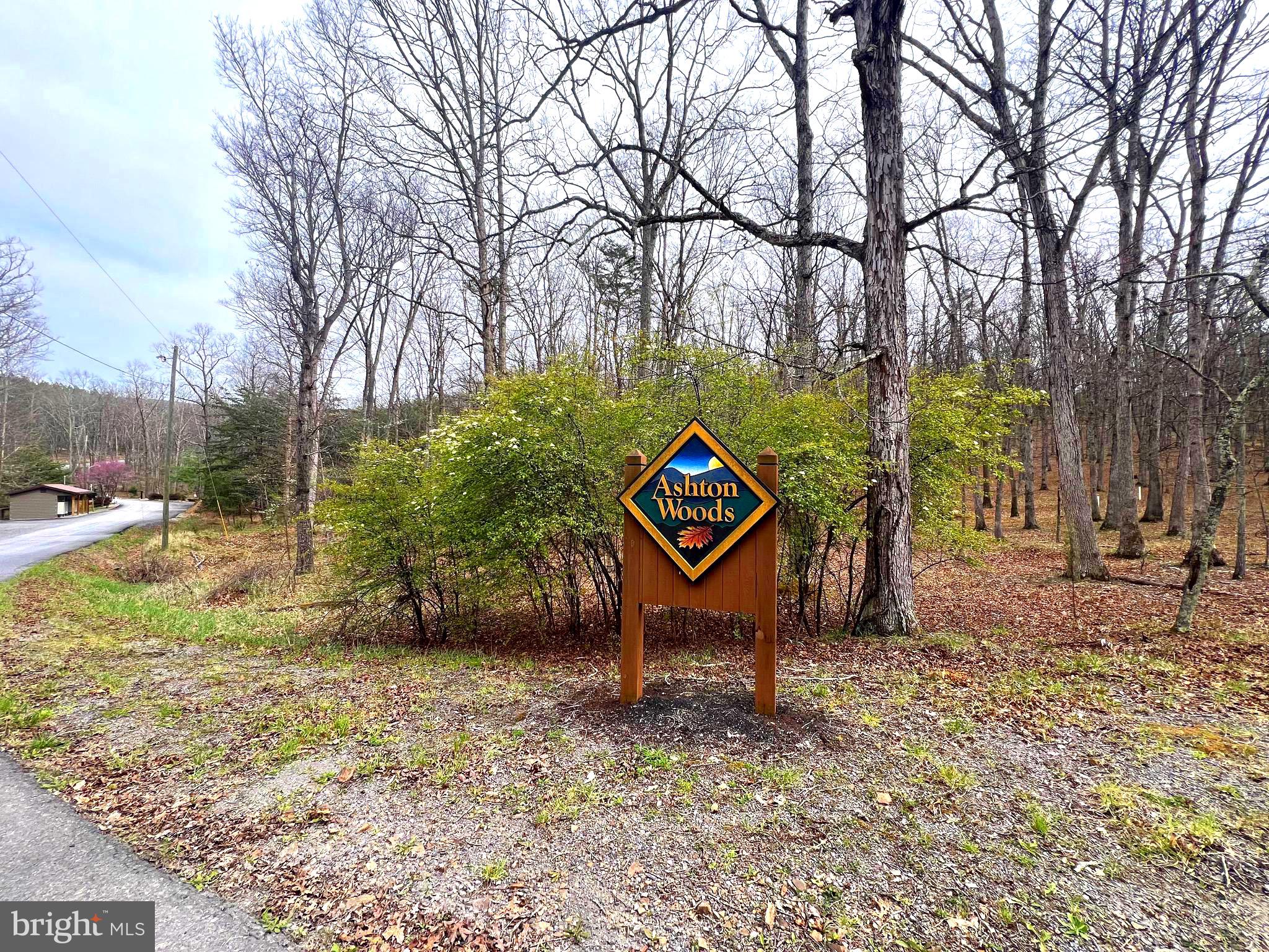 ASHTON WOODS - Land