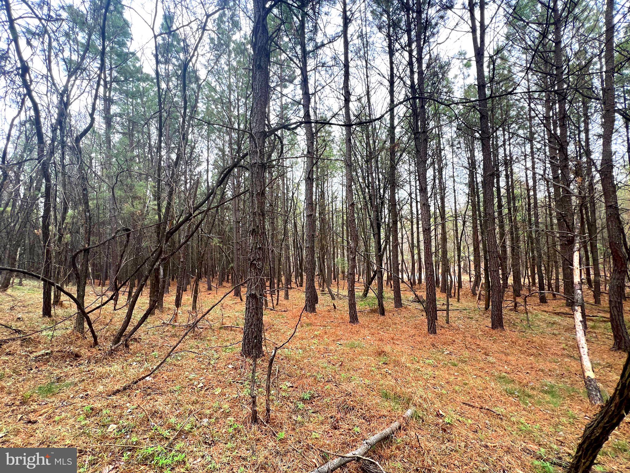 ASHTON WOODS - Land