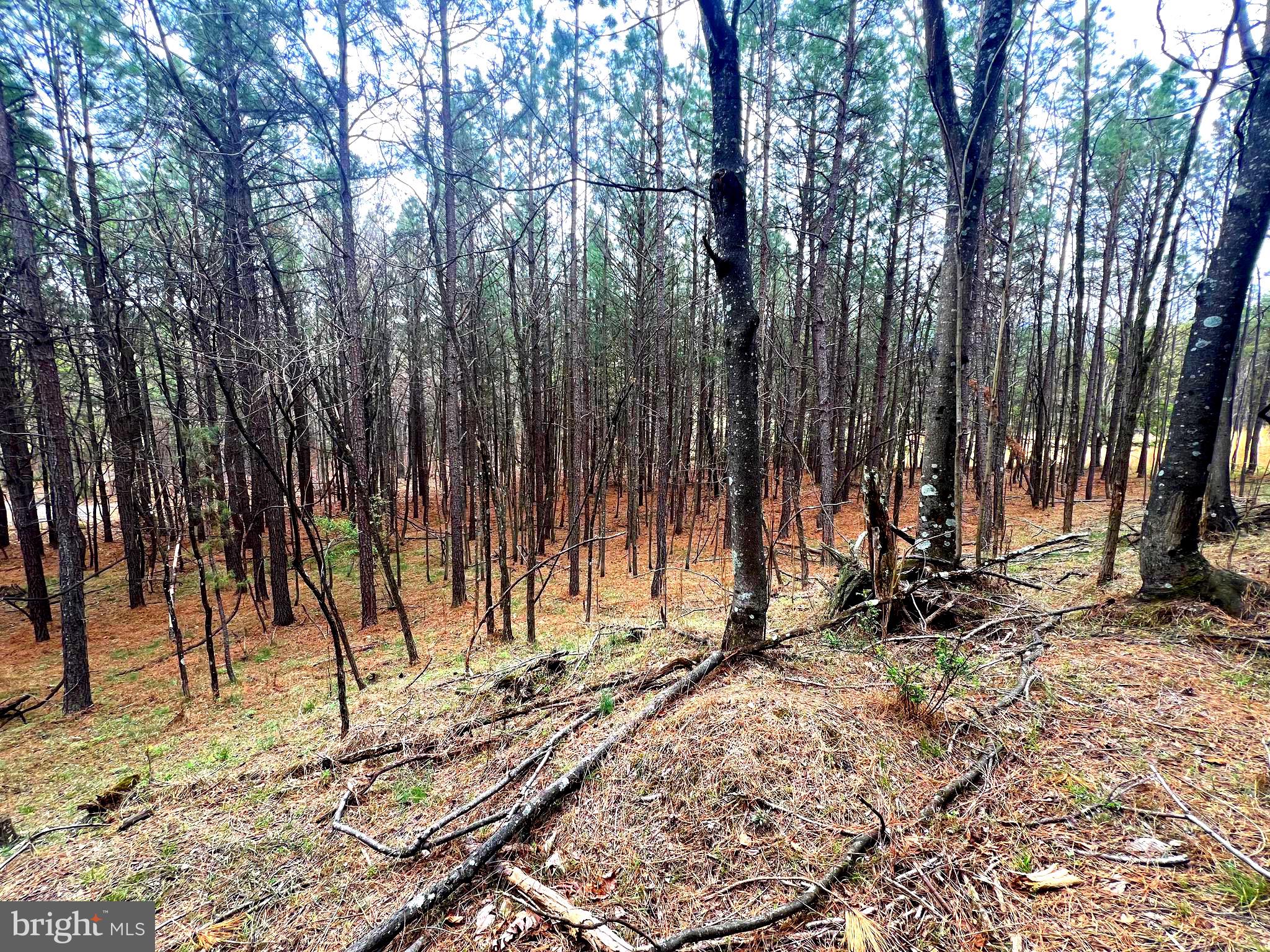 ASHTON WOODS - Land