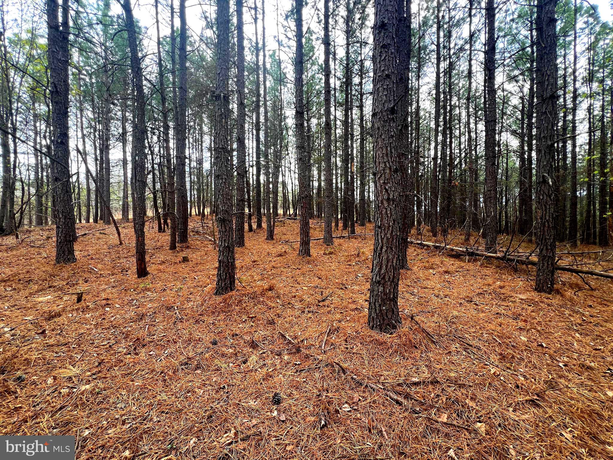 ASHTON WOODS - Land