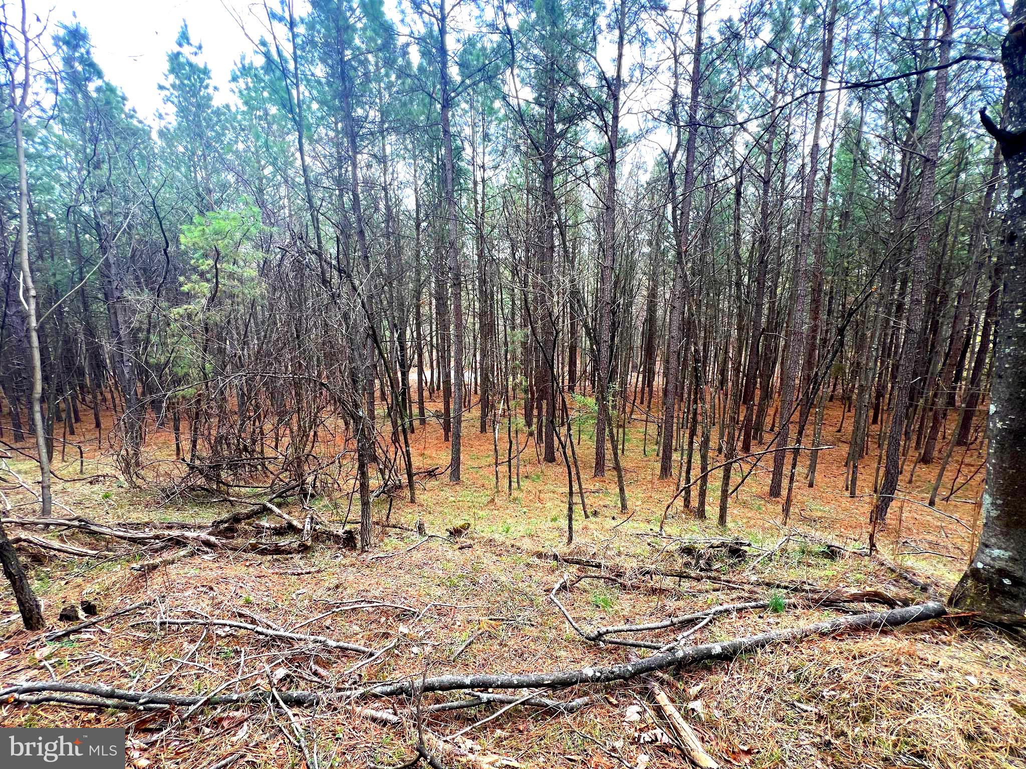 ASHTON WOODS - Land
