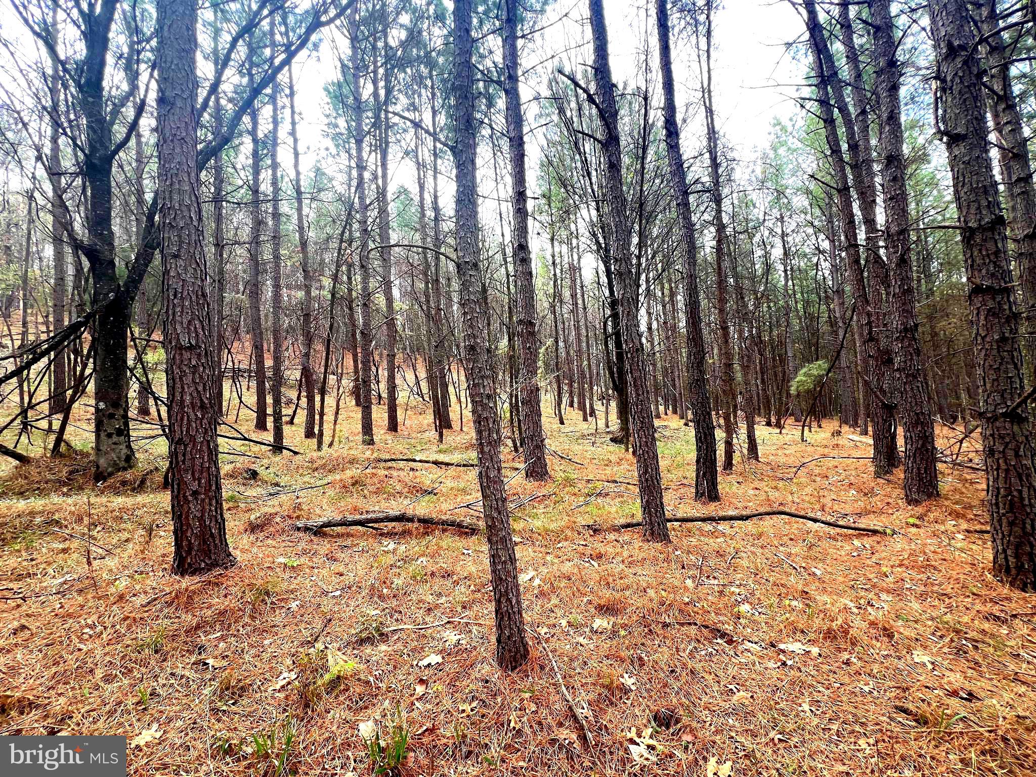 ASHTON WOODS - Land