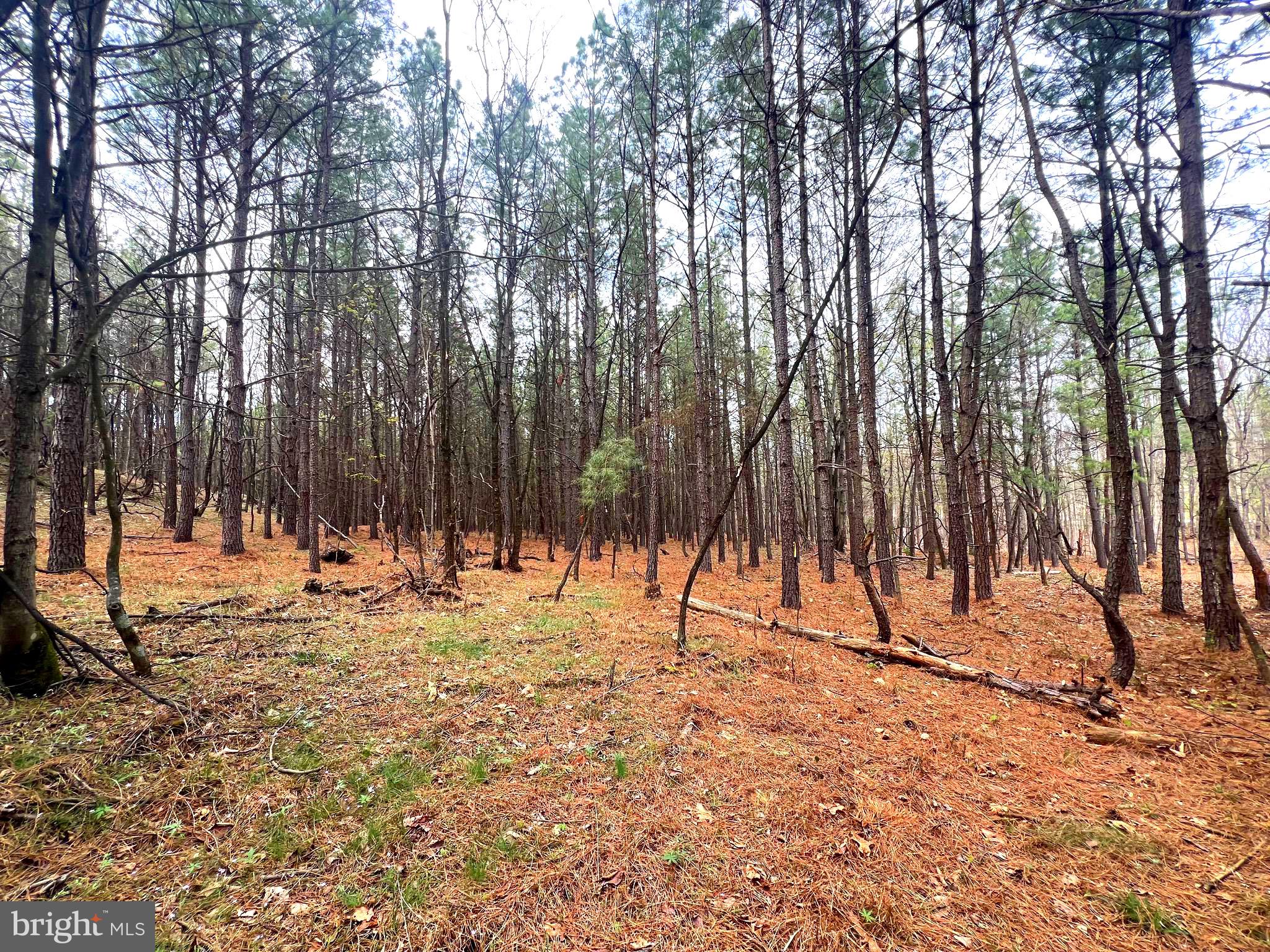 ASHTON WOODS - Land