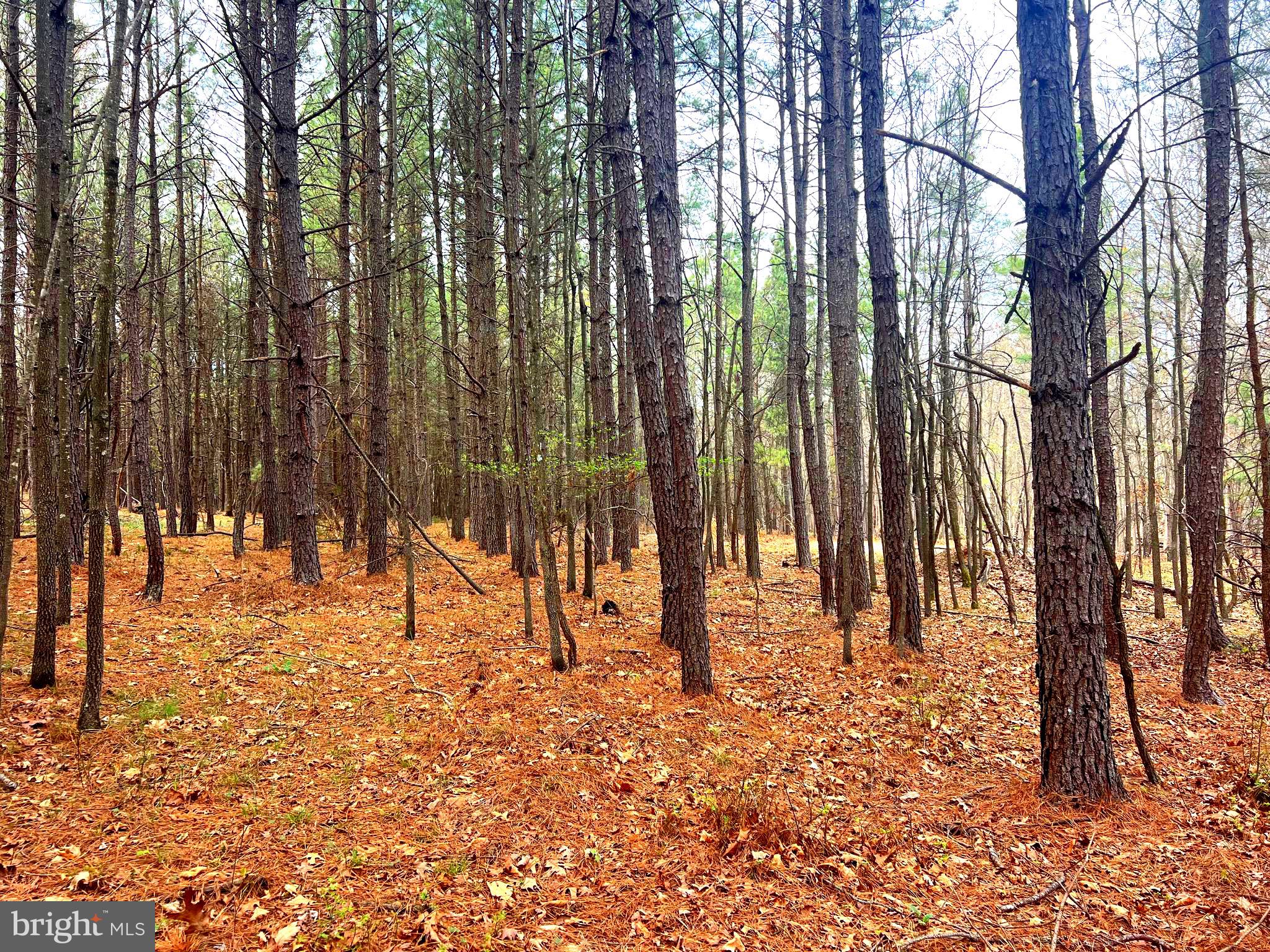 ASHTON WOODS - Land