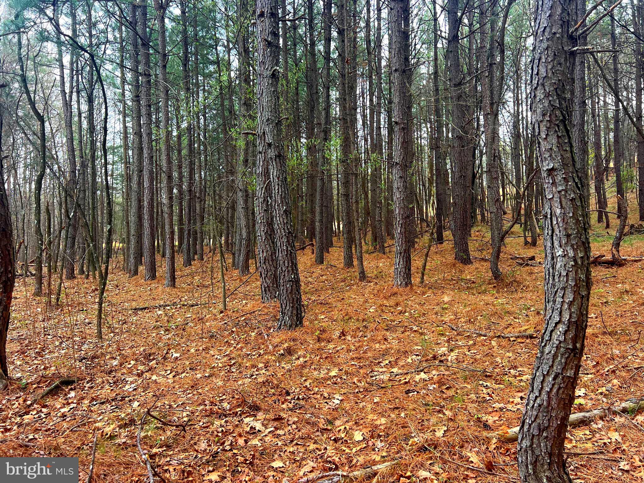 ASHTON WOODS - Land