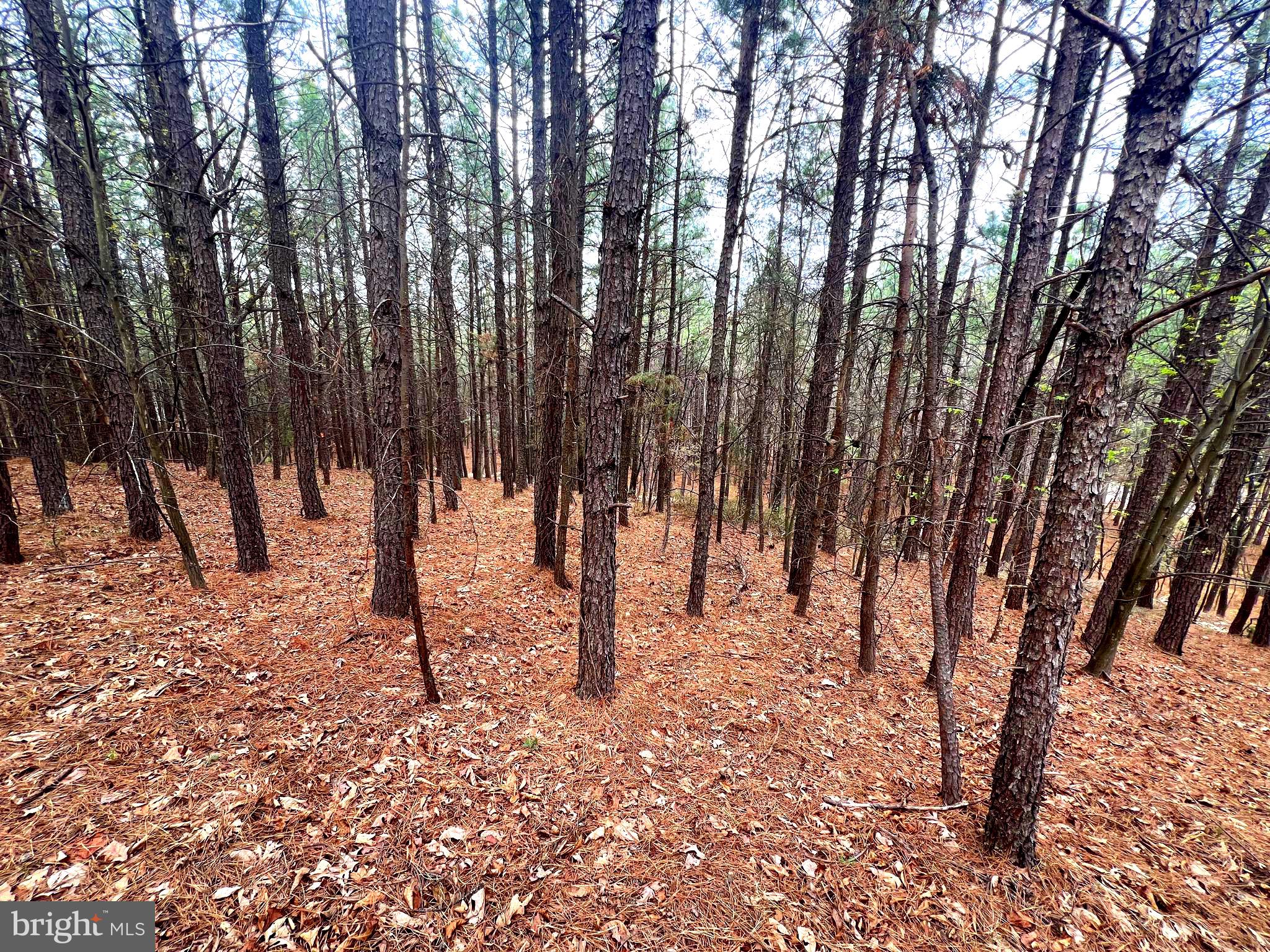 ASHTON WOODS - Land