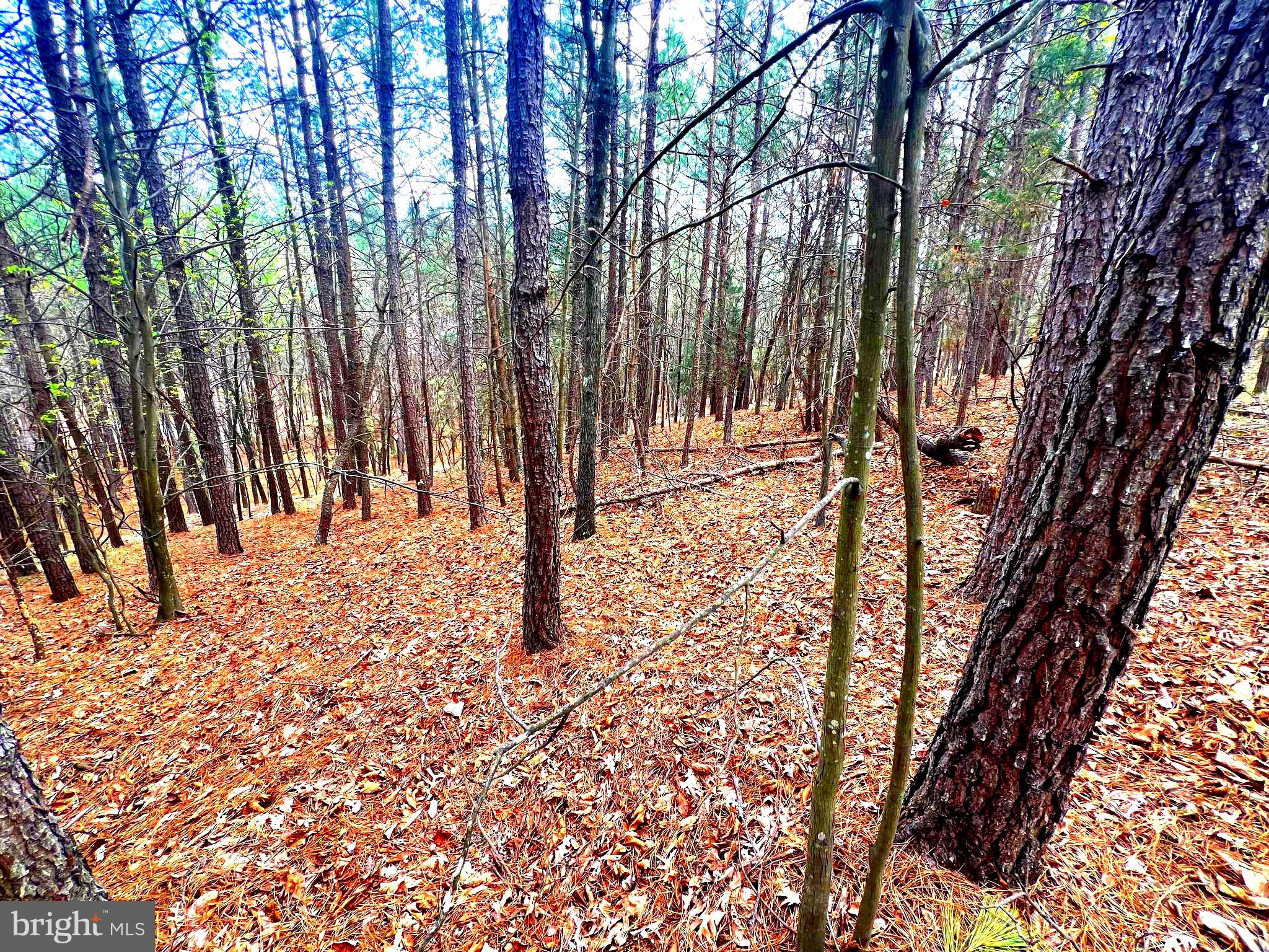 ASHTON WOODS - Land