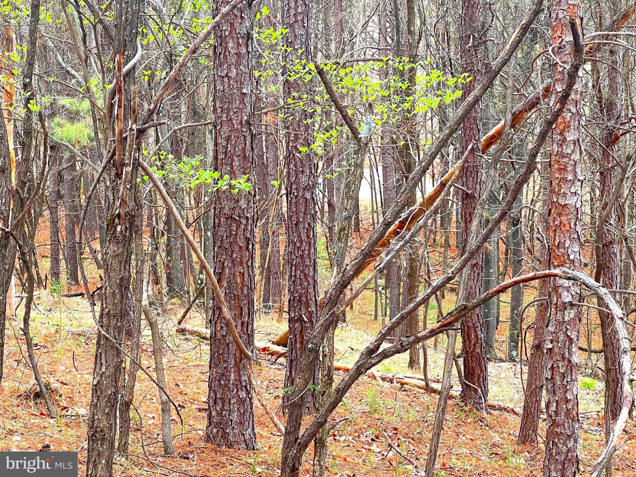 ASHTON WOODS - Land