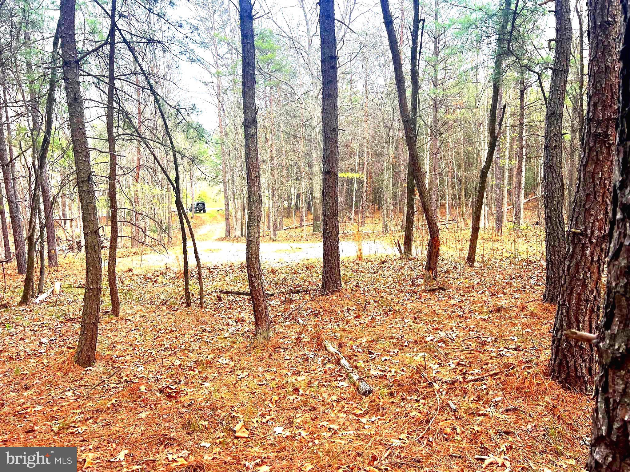ASHTON WOODS - Land