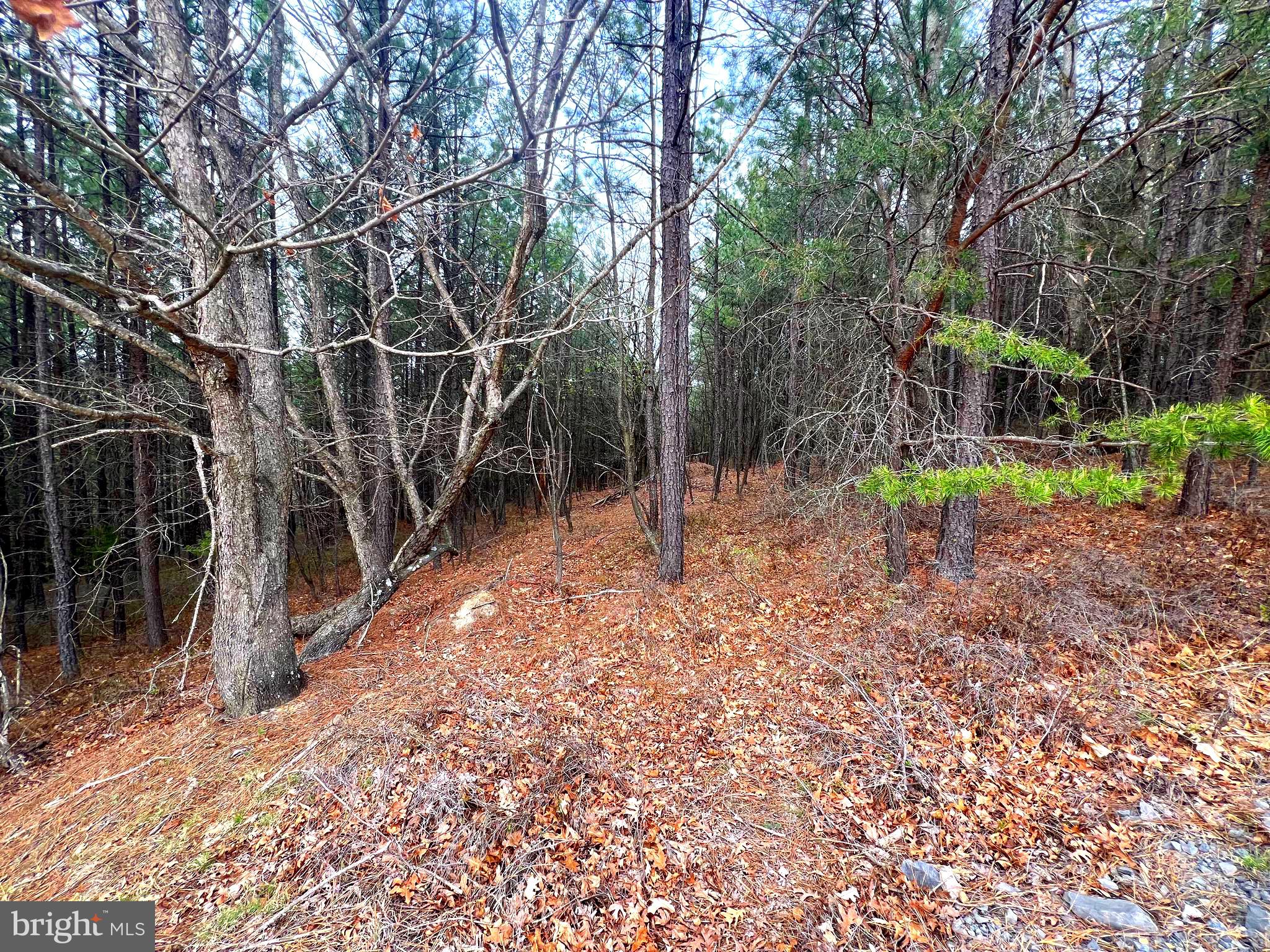 ASHTON WOODS - Land
