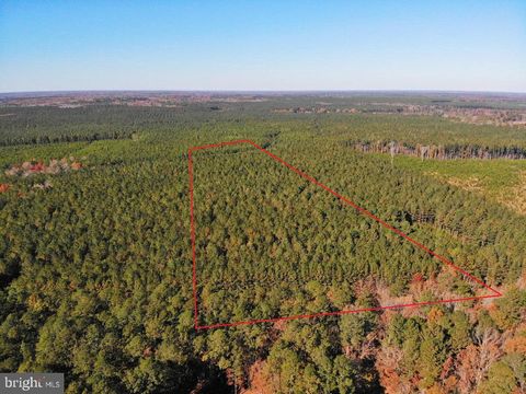 Vacant Land For Sale - Pole Run Rd<br/> DISPUTANTA, VA 23842
