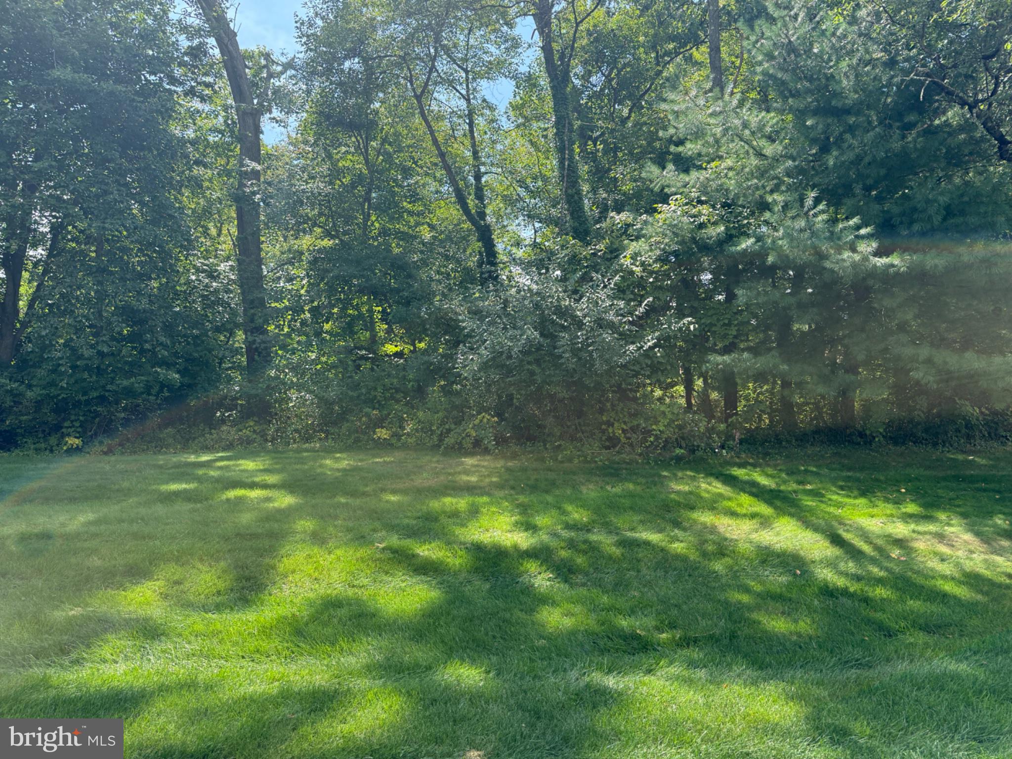 246 TULIP TREE COURT