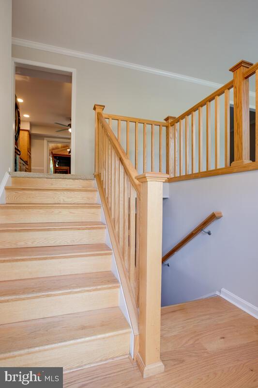 HILLSMERE ESTATES - Residential