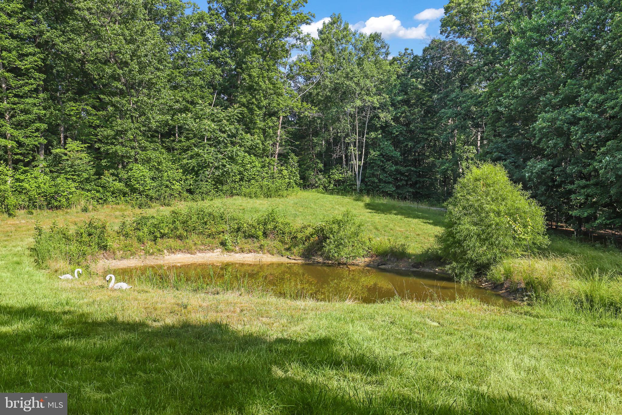 PINE BROOK ESTATES - Residential