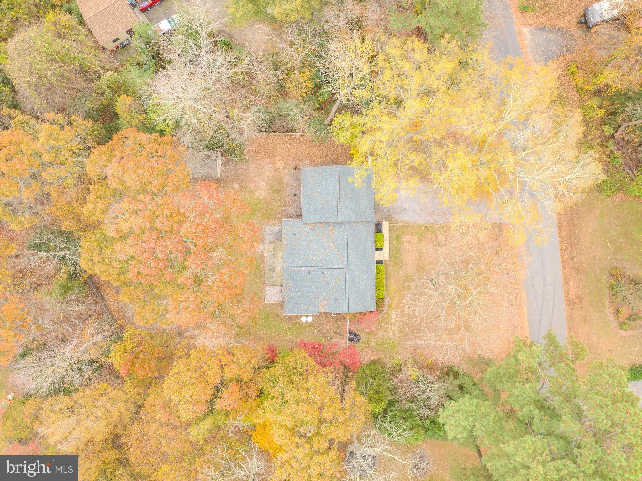 NOSTALGIA - Residential