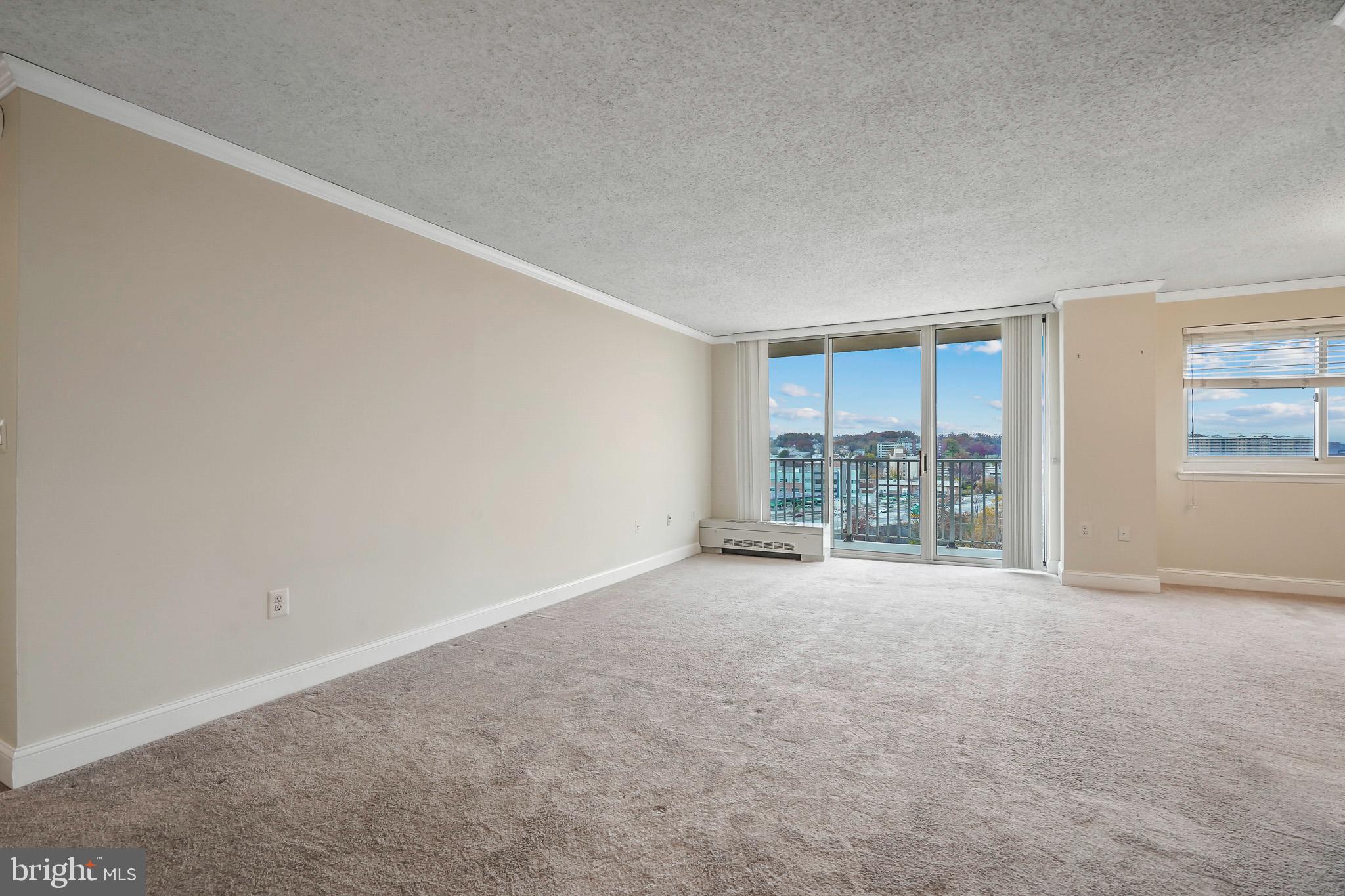 1225 MARTHA CUSTIS DRIVE 1119