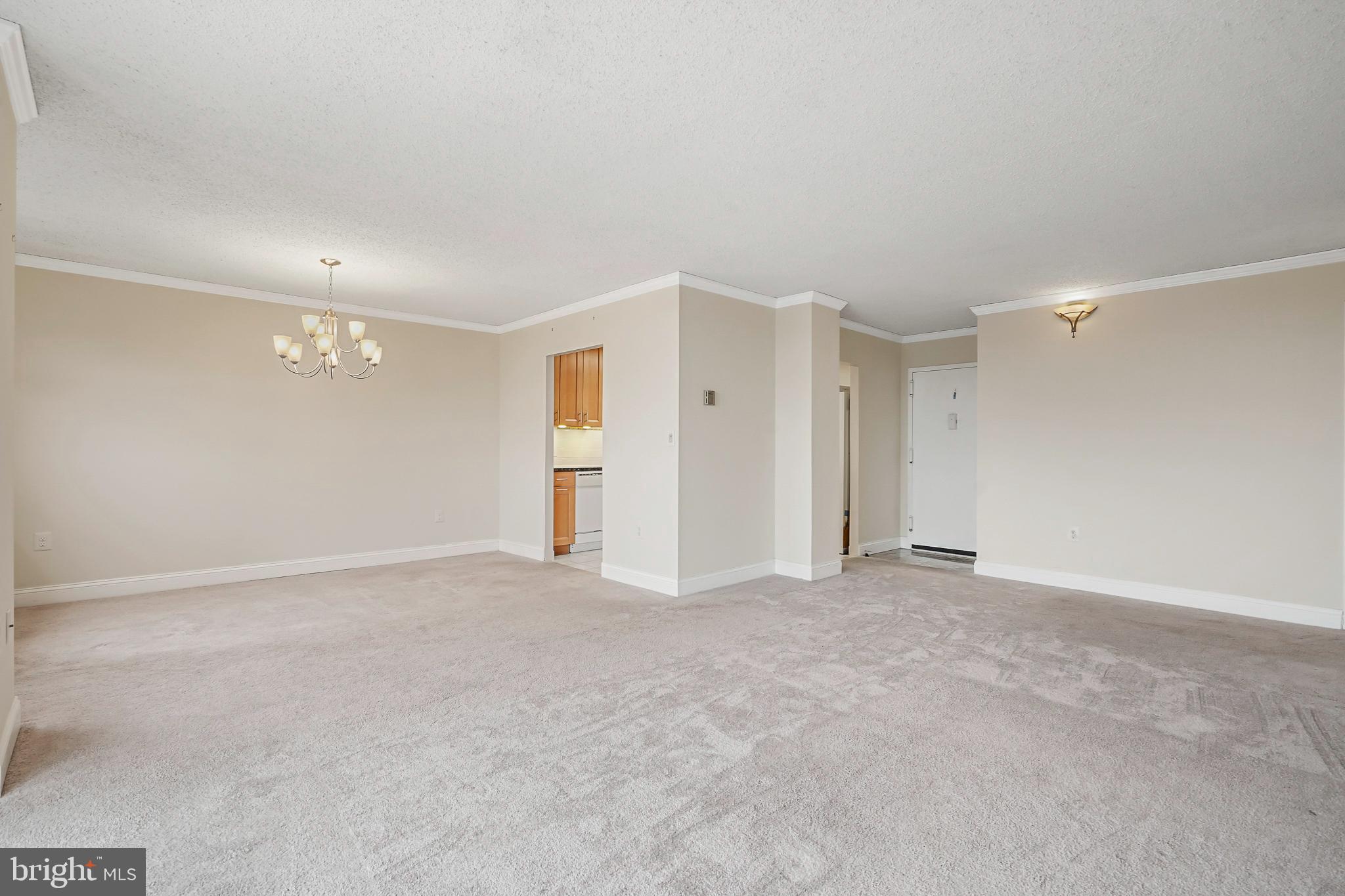 1225 MARTHA CUSTIS DRIVE 1119