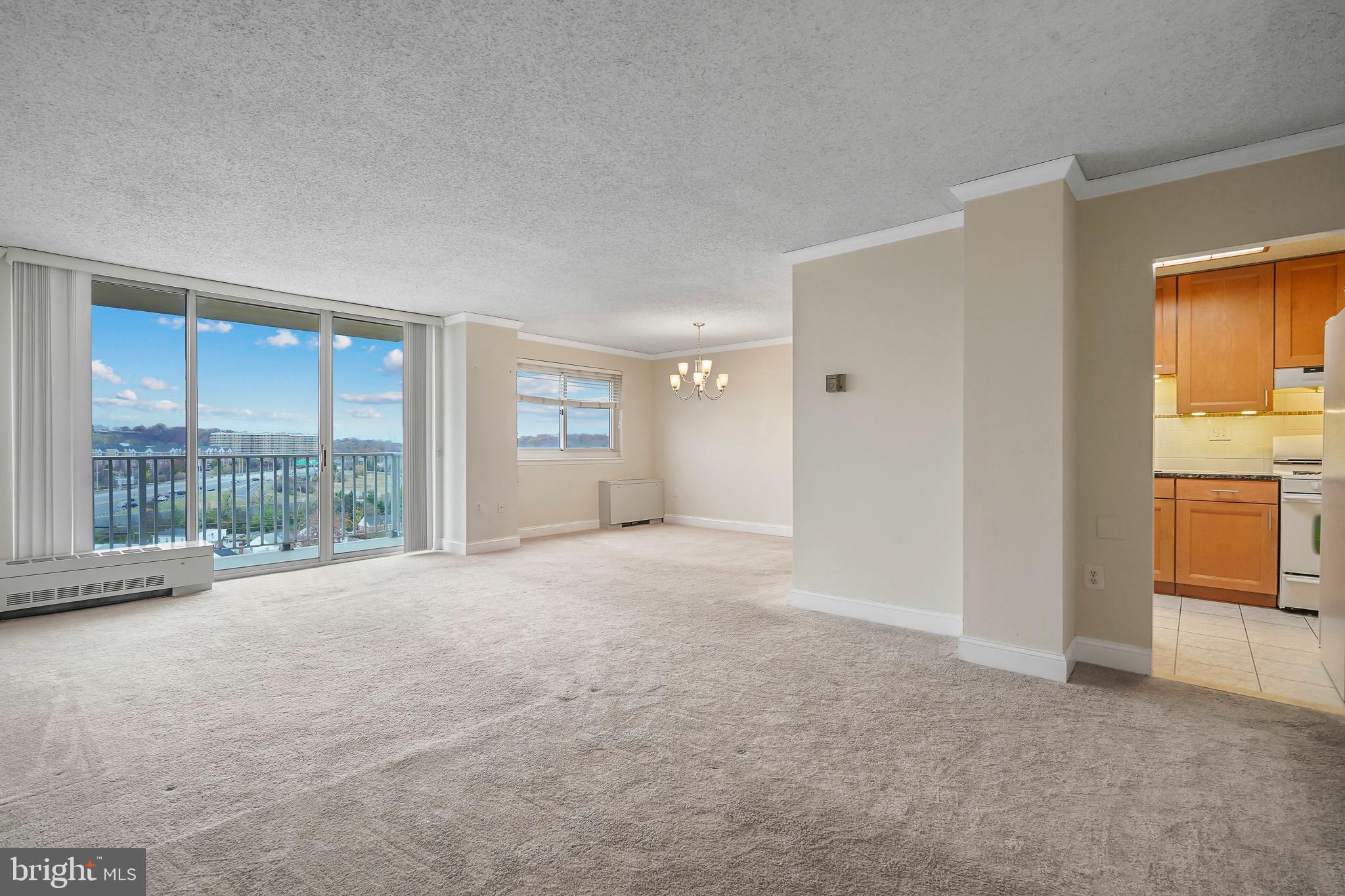 1225 MARTHA CUSTIS DRIVE 1119