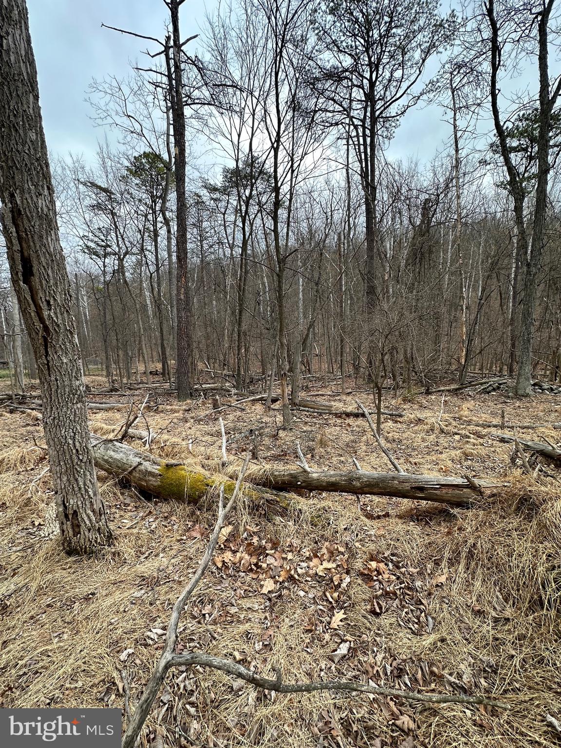 Level lot just south of Berkeley Springs!Owning this lot does give you access to the community lake. Owner applied for septic permit and was recently denied and is not trying again. The lots on both sides of this lot duo have houses on them but this lot was denied. This lot is being sold as-is